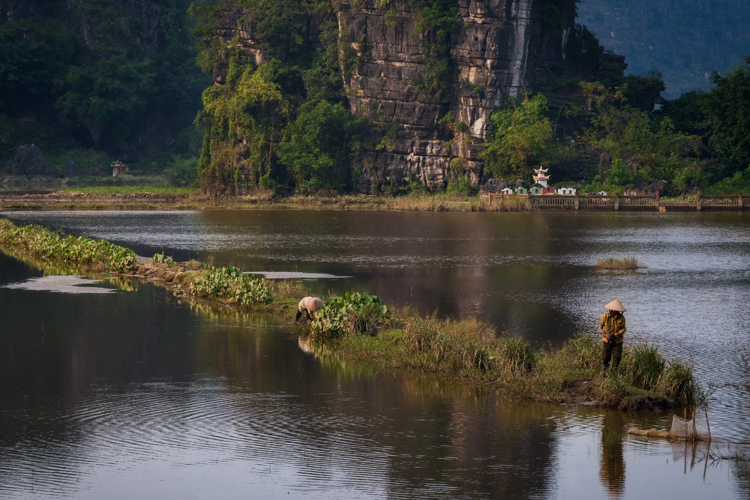 Two farmers wearing traditional conical hats work in a rice paddy beside a river, with green hills and rocky cliffs in the background.