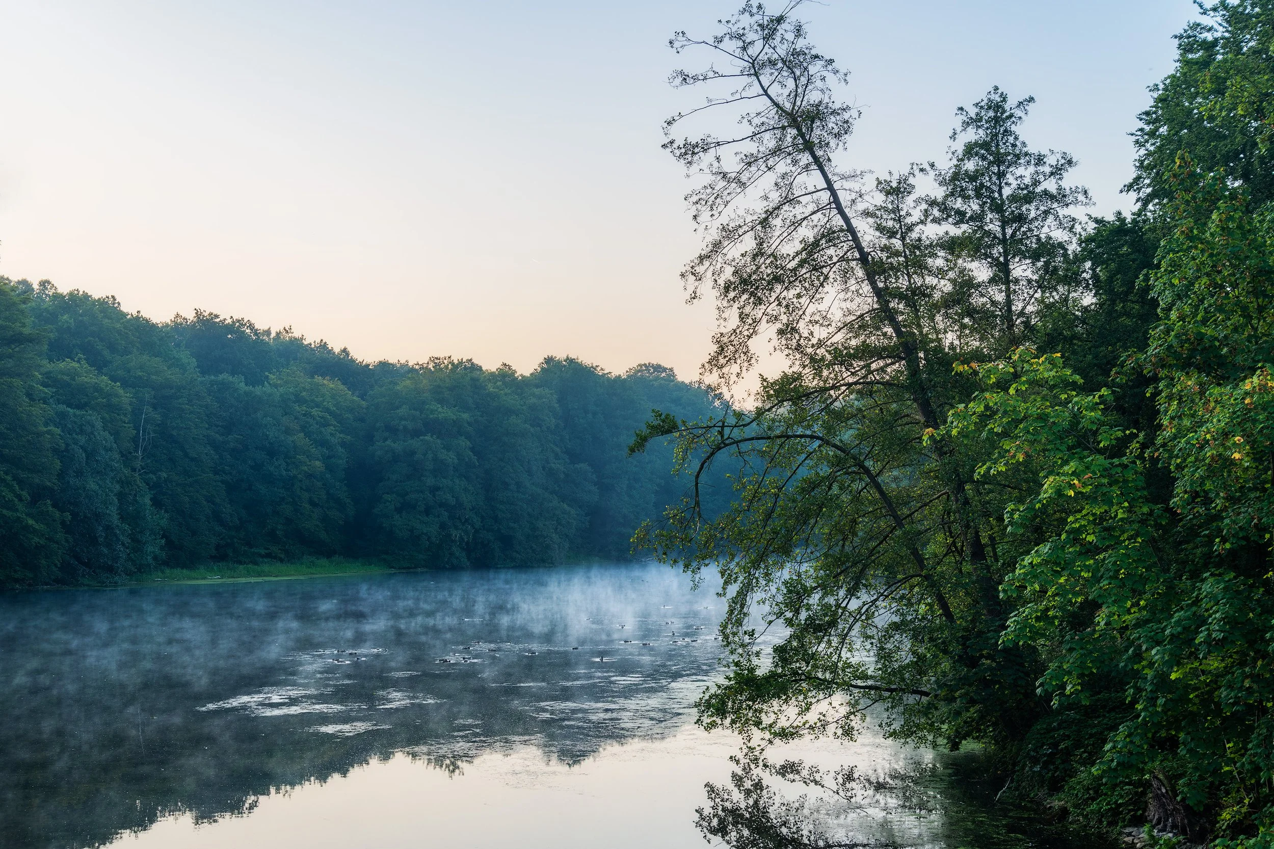 A tranquil river with mist rising from the water, surrounded by lush green trees on both sides, with a partly cloudy sky overhead.