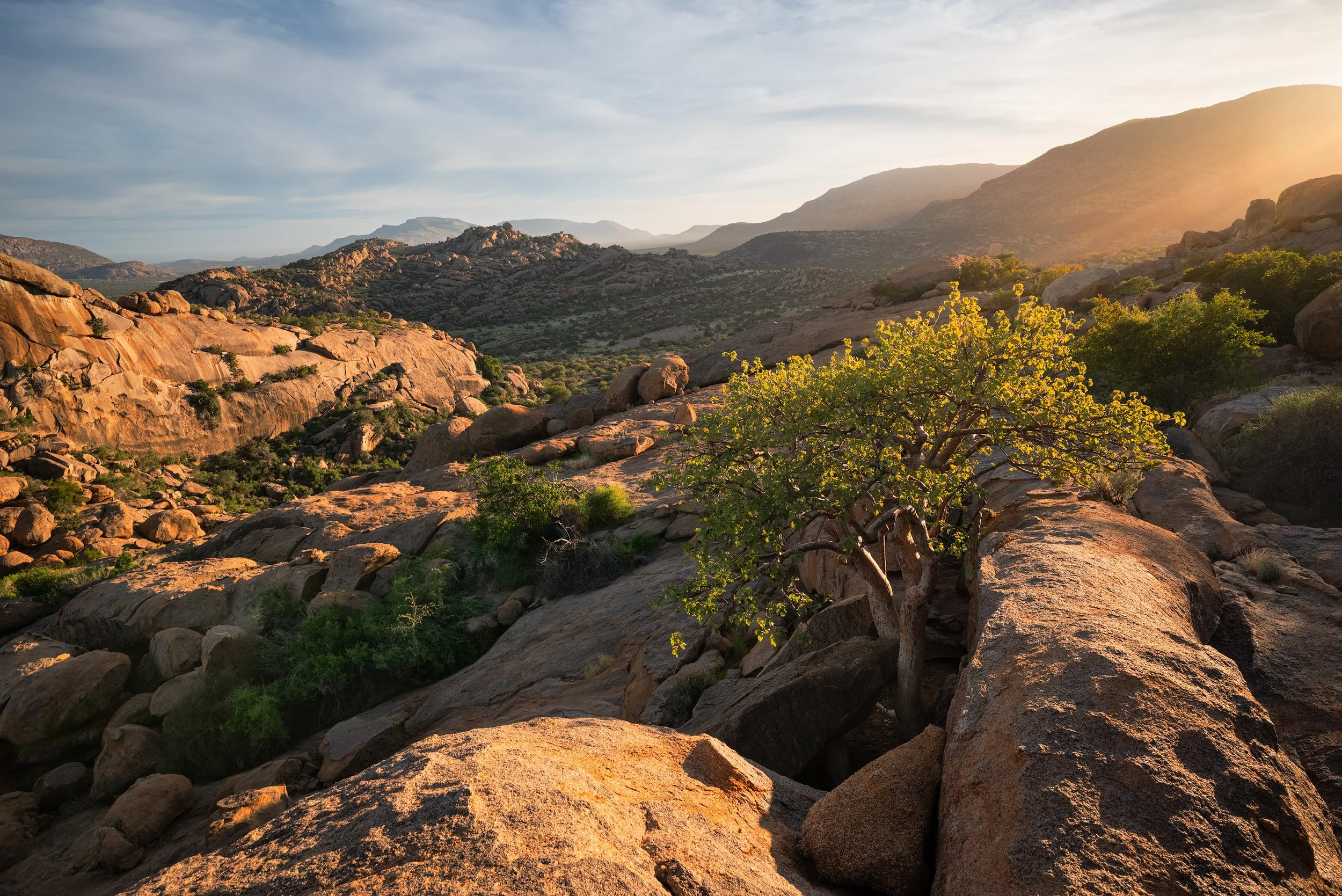Sunset over a rocky desert landscape with large boulders, a small green tree, and distant mountains under a partly cloudy sky.