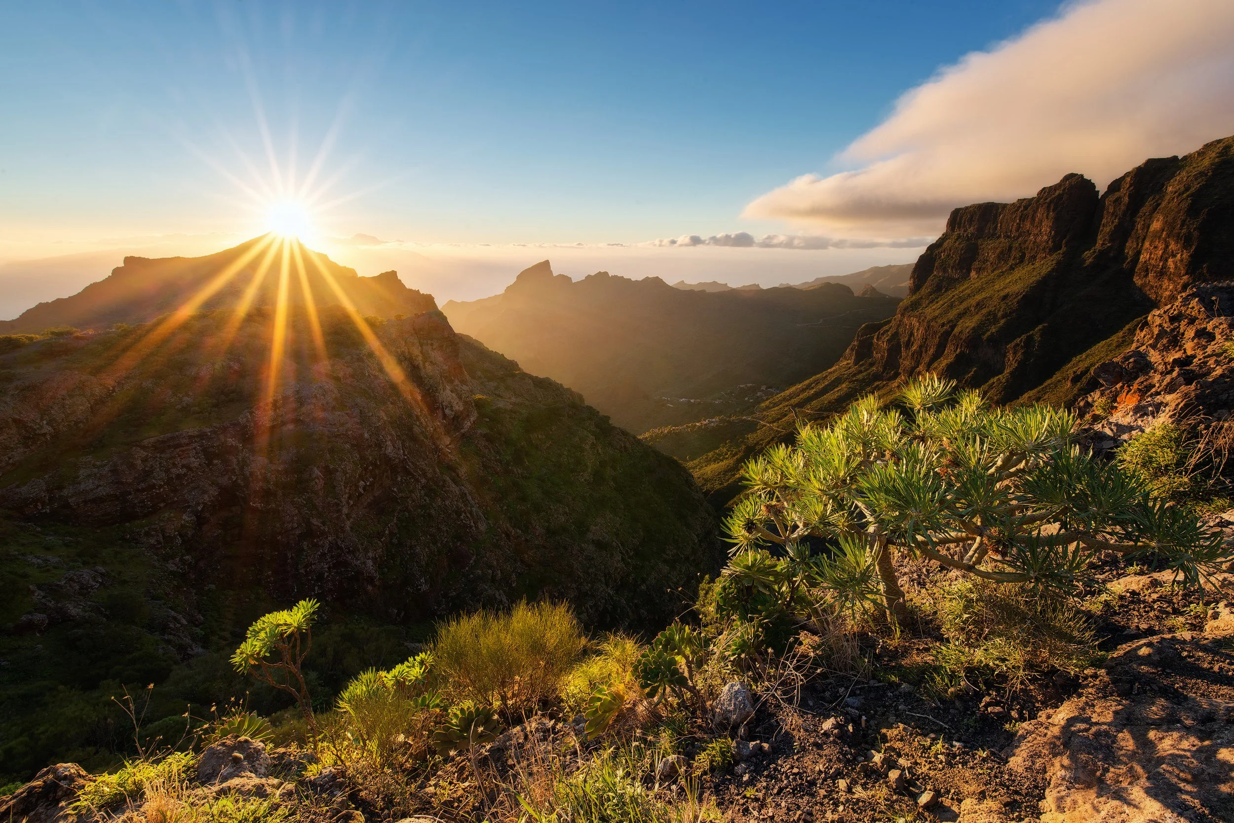 Sunrise over a mountainous landscape with rocky slopes and green vegetation, including succulents, with clouds in the sky. Tenerife, Masca, Spain