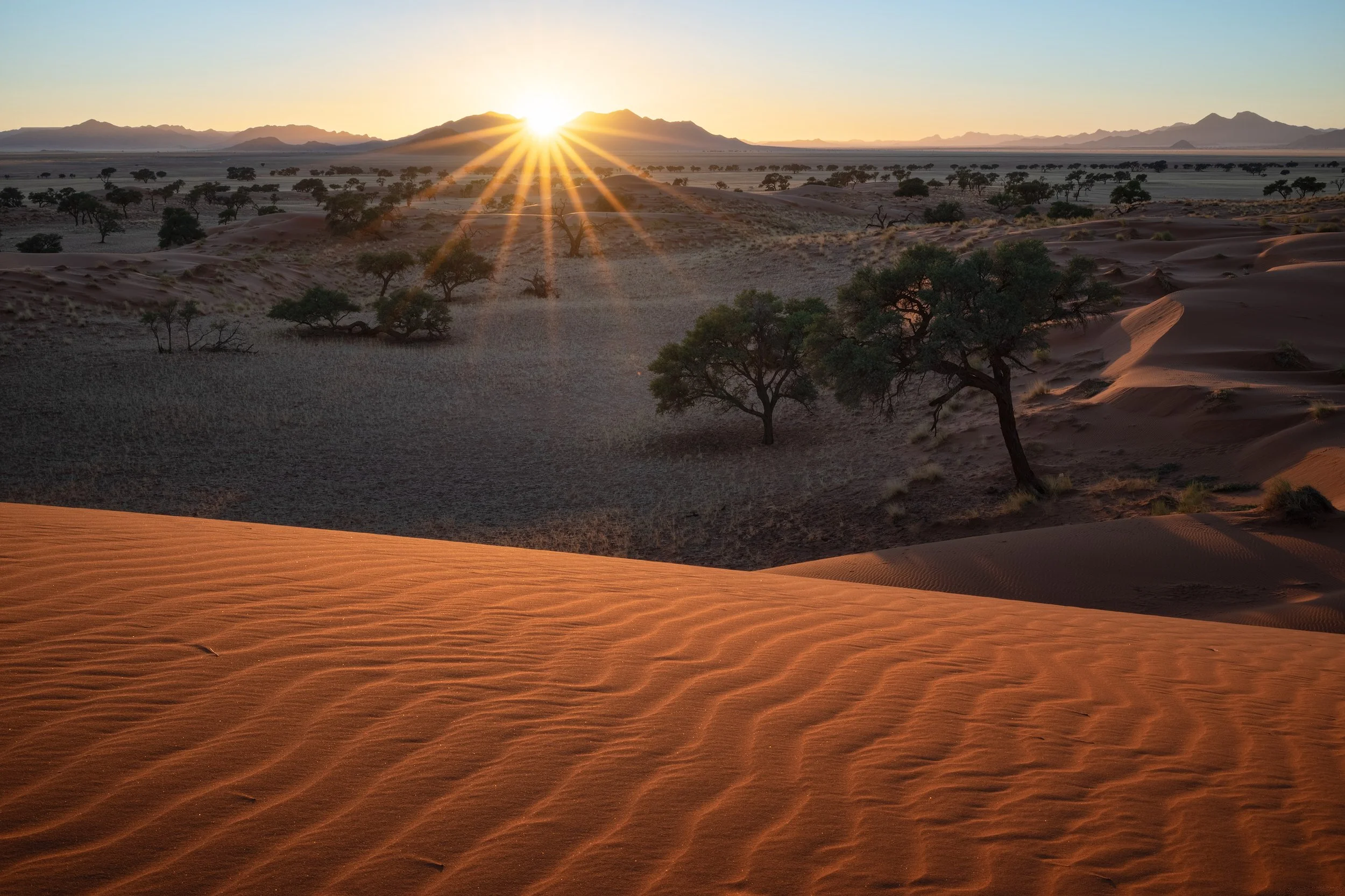 Sunrise over the Namib desert. Landscape with sand dunes, sparse trees, and mountains in the distance. Namibia.