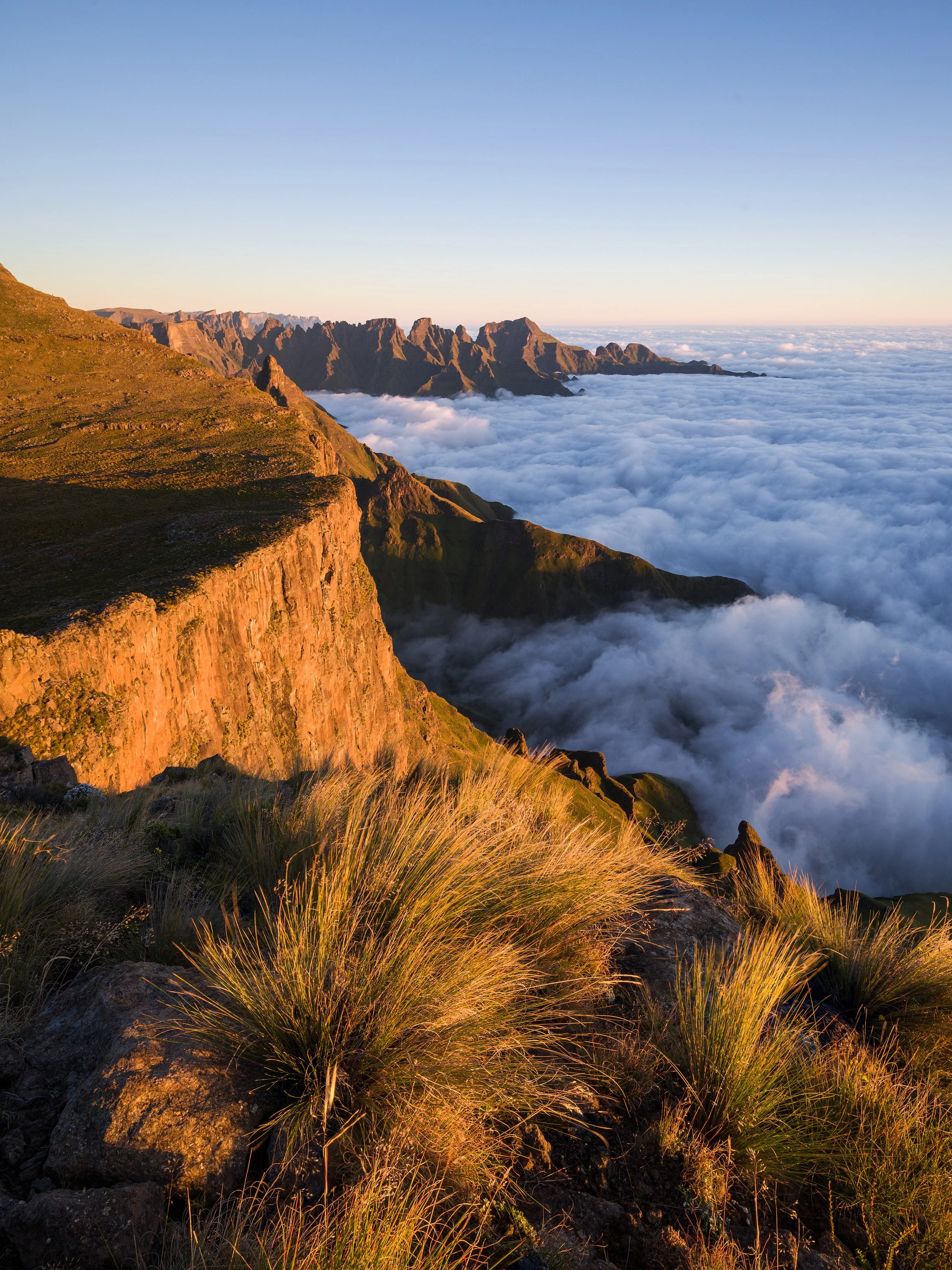 Sunrise over mountain cliffs with clouds below, grassy foreground. Drakensberg, South Africa, Kwazulu Natal.
