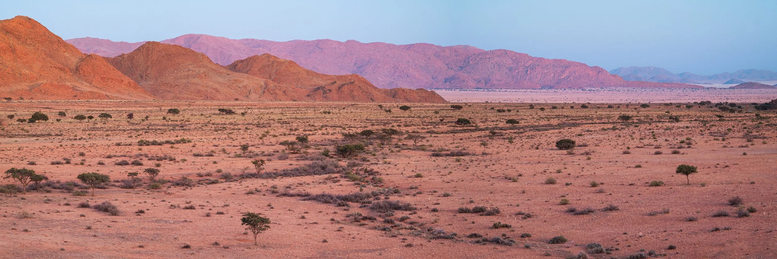 A vast desert landscape with reddish-brown mountains in the background, sparse small trees and shrubs on the flat terrain, under a pale blue sky.