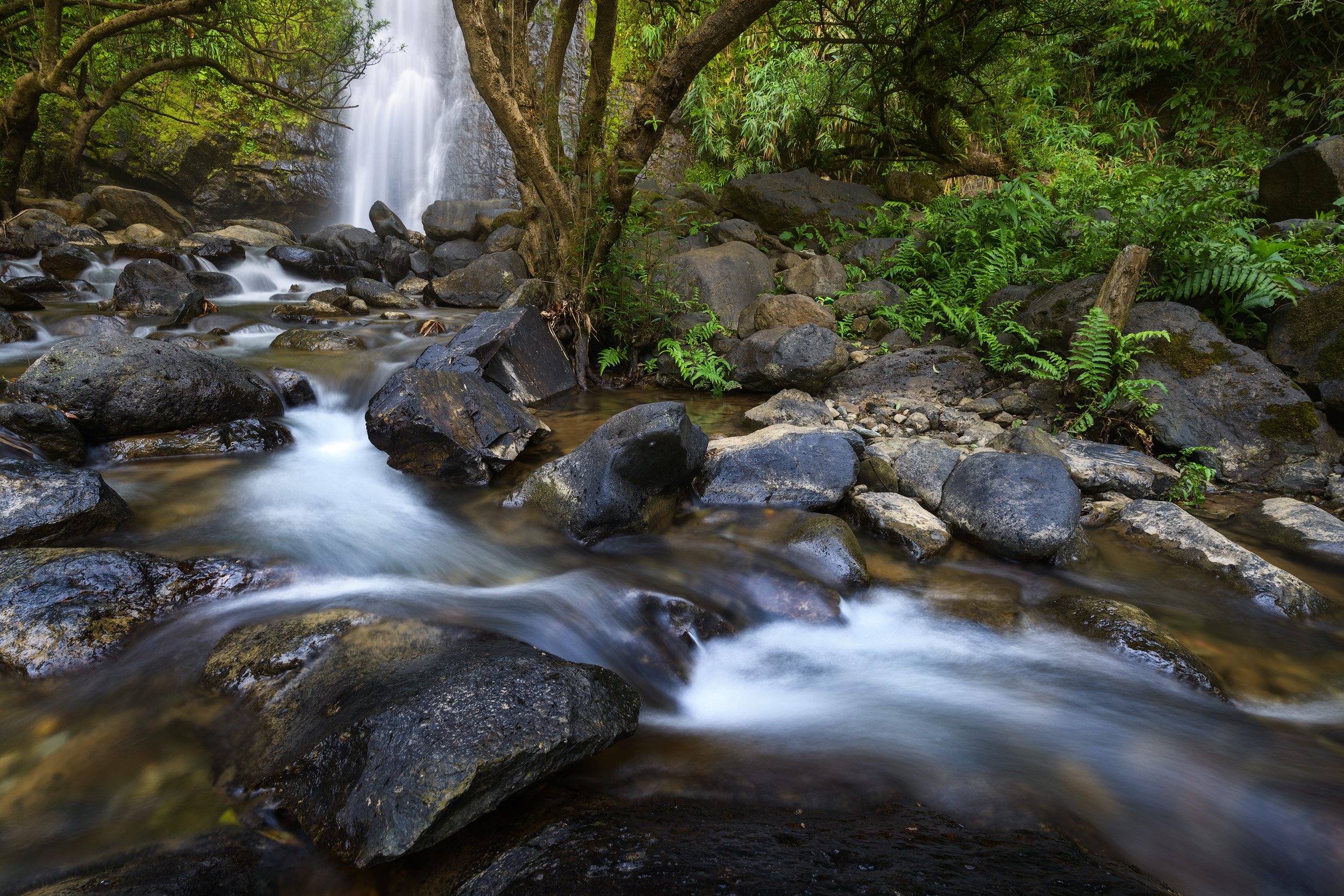 A cascading waterfall flowing into a rocky stream surrounded by green foliage and trees.