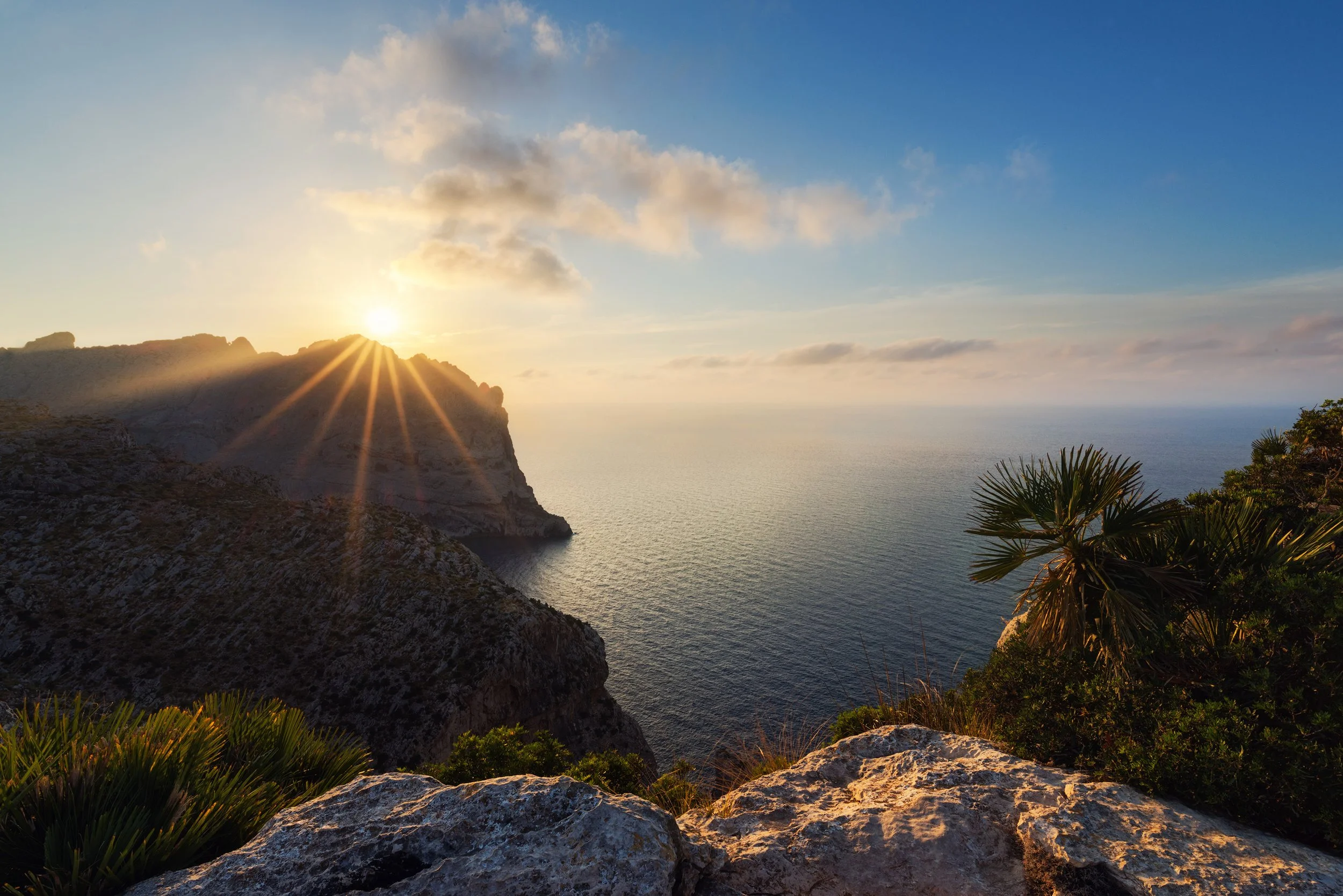 Sunset over a coastal cliff with palm trees and rocky foreground, ocean in the background.