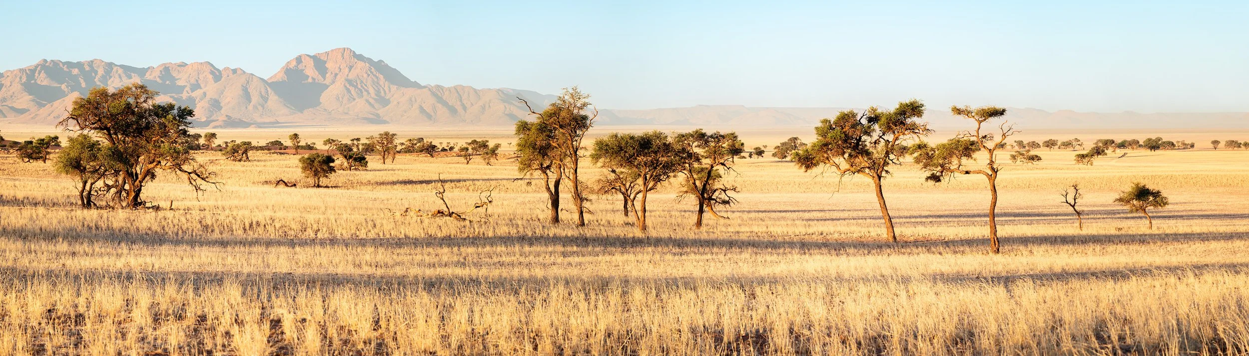 A vast savannah landscape with sparse trees, dry grass, distant mountains, and clear blue sky.
