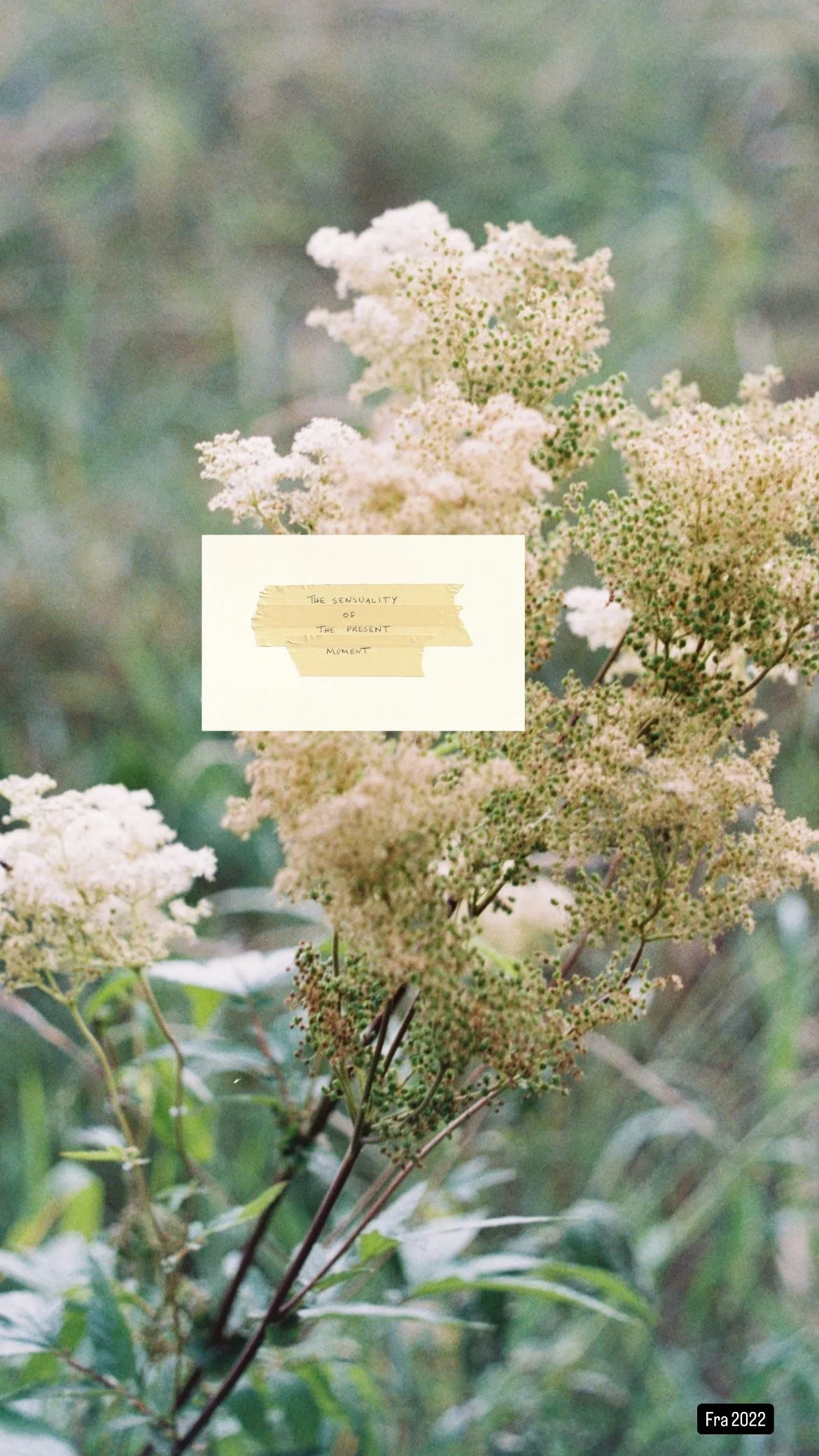 The sensuality of the present moment, 2022.