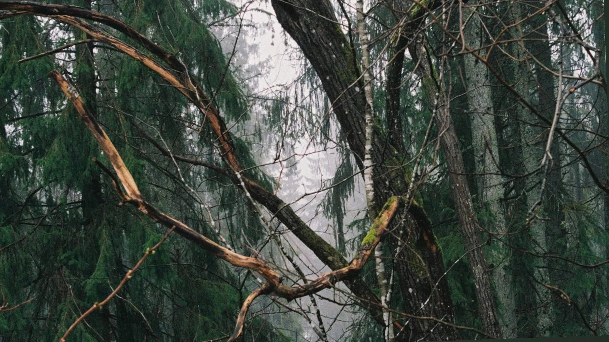 Unwinding print, 2021