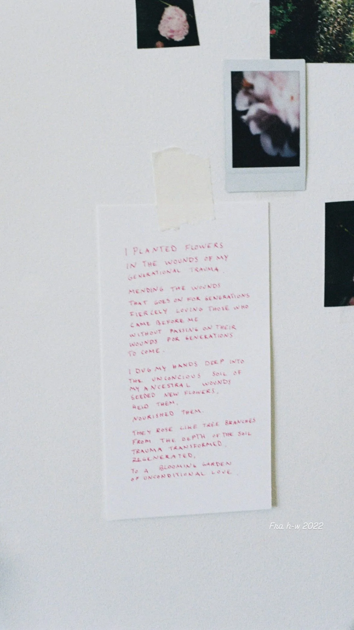 I planted flowers dikt