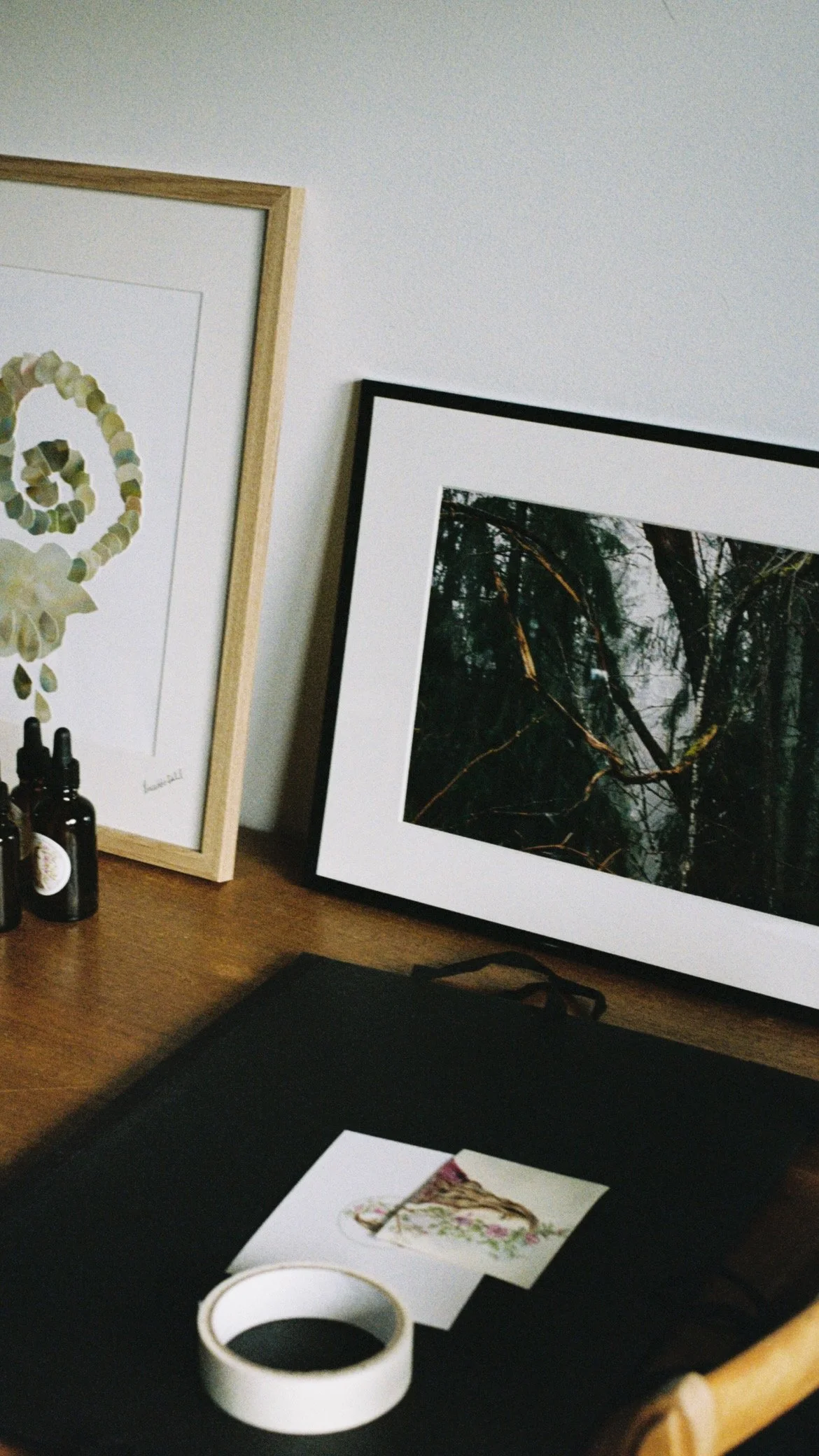 744828A4-C9EA-437B-9650-B268CC40A1B2 2.JPG