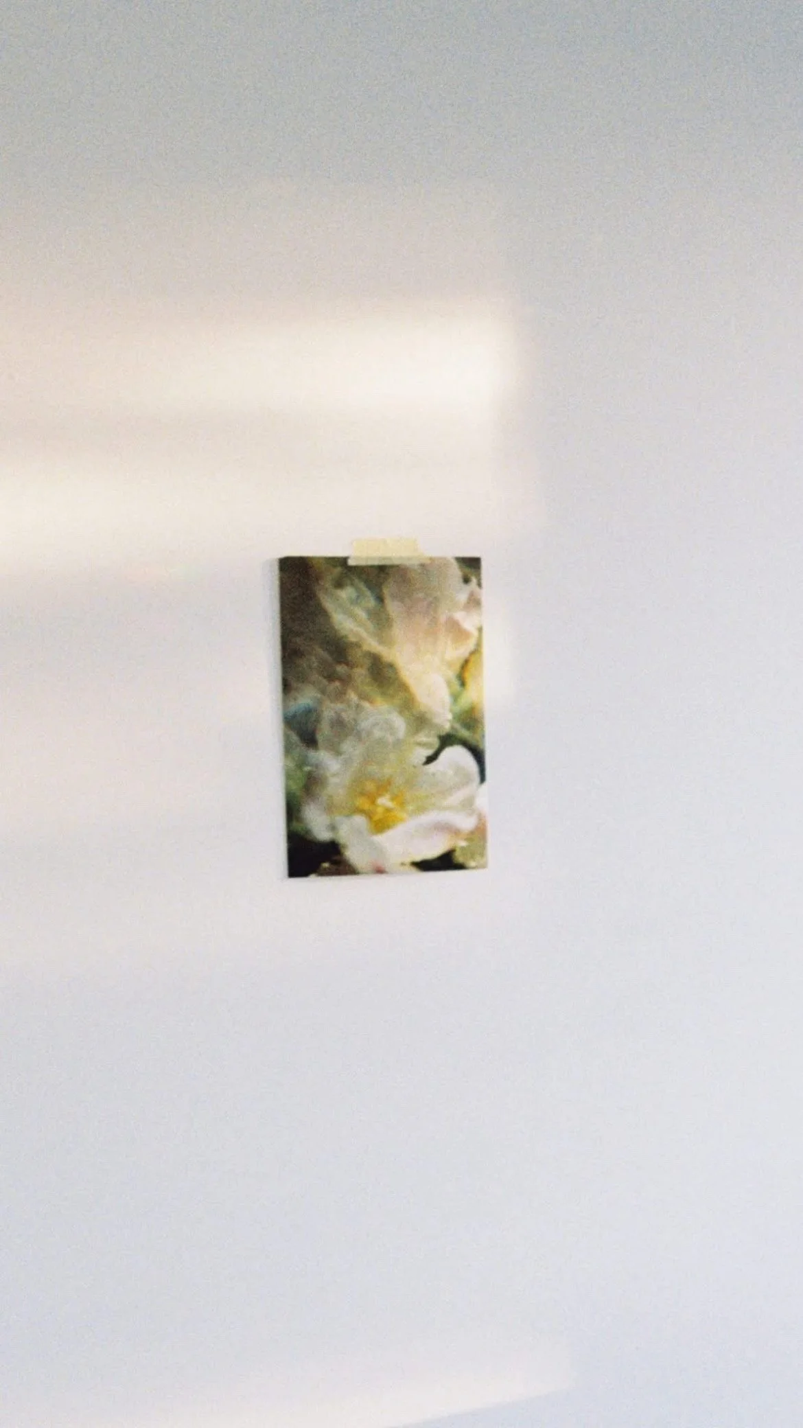 Alle har sin blomstringstid, 2020