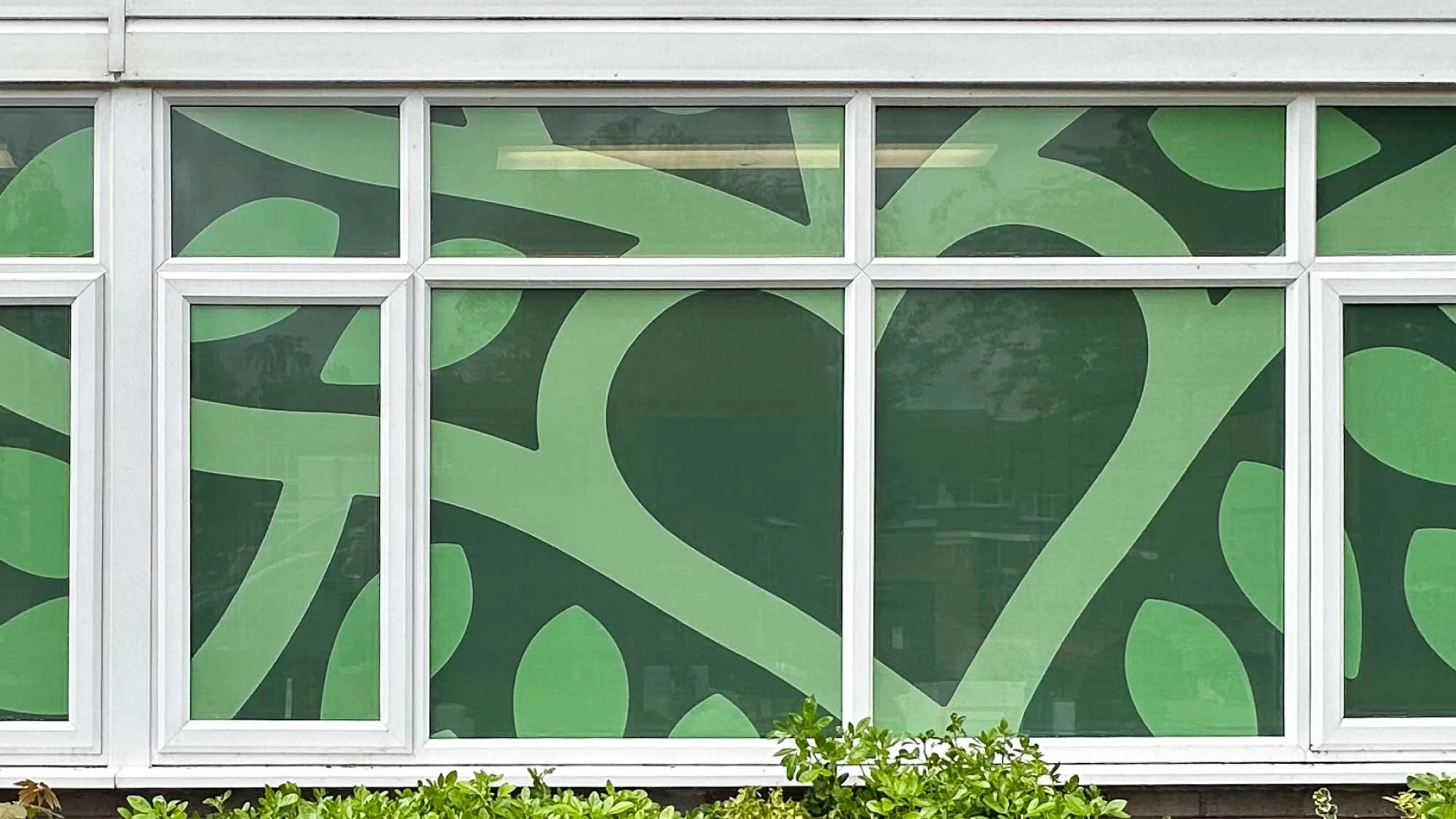 Whoberly_Branding_Windows.jpg