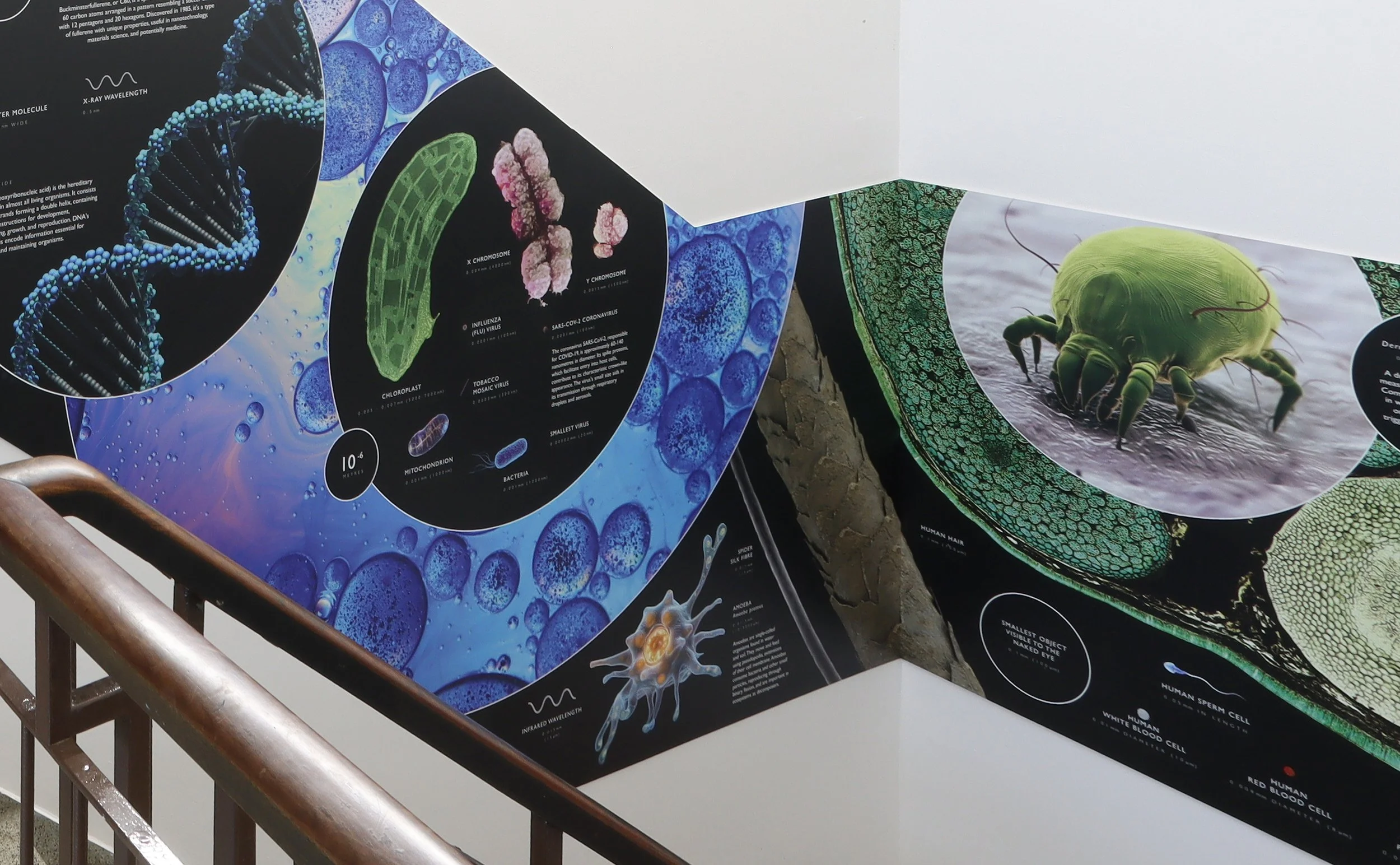 Kings College Scale of The Universe Display 13.jpg