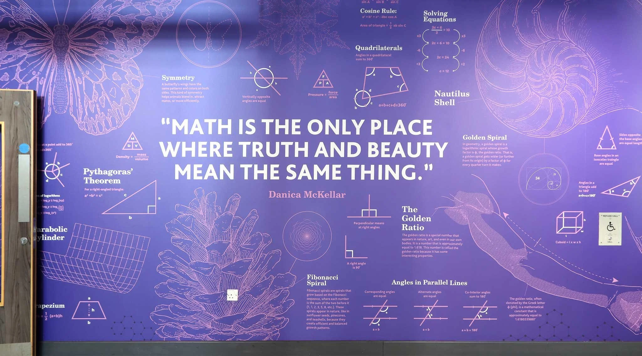 Maths_Blueprint_Wall_Art-Purple.jpg
