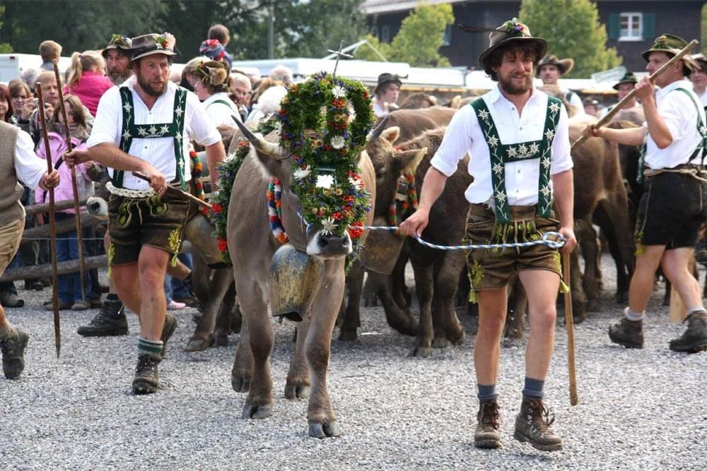 Viehscheid im Oberallgäu –&nbsp; Tradition erleben rund um Sonthofen