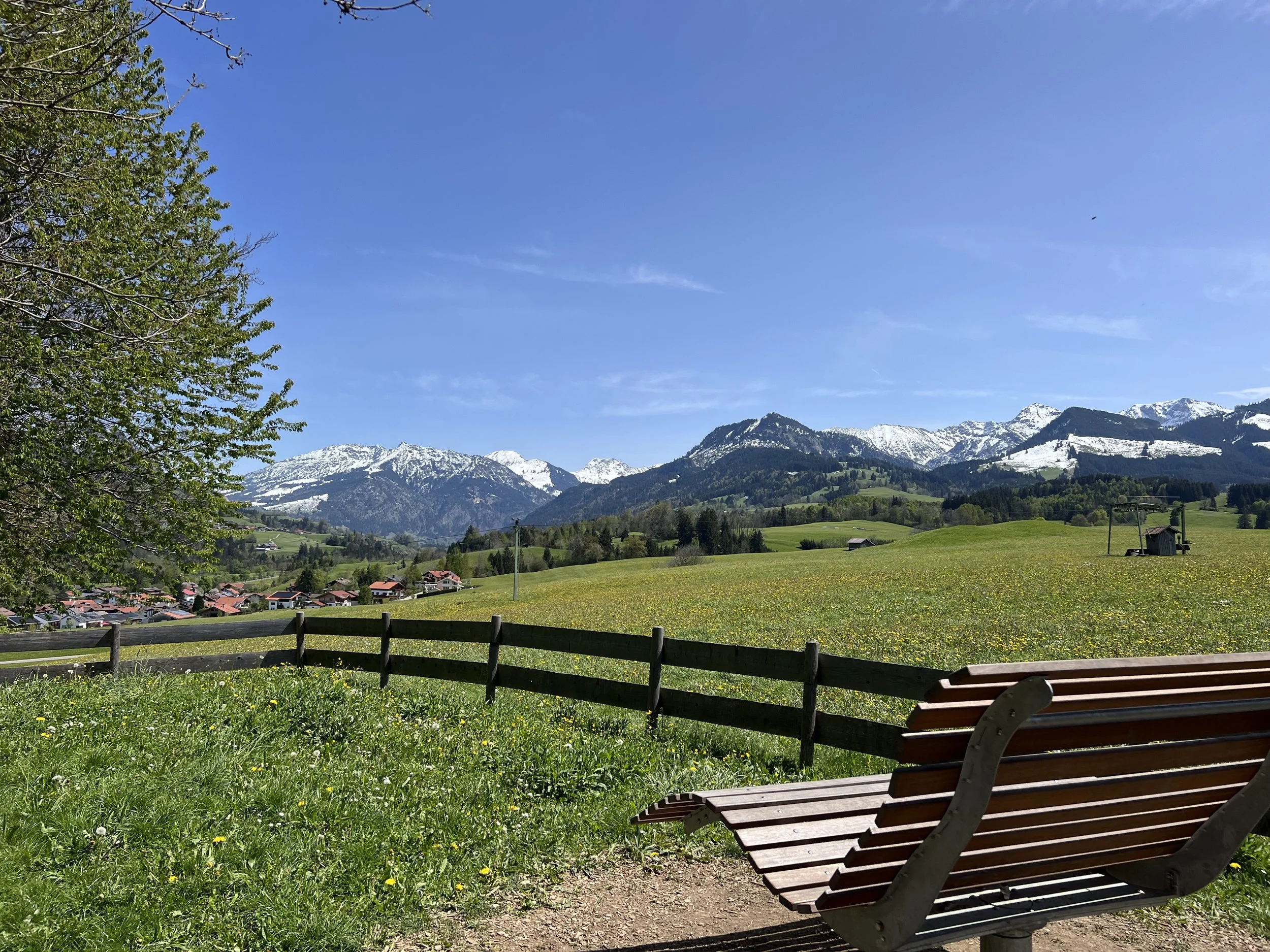 IMG_6689.jpeg