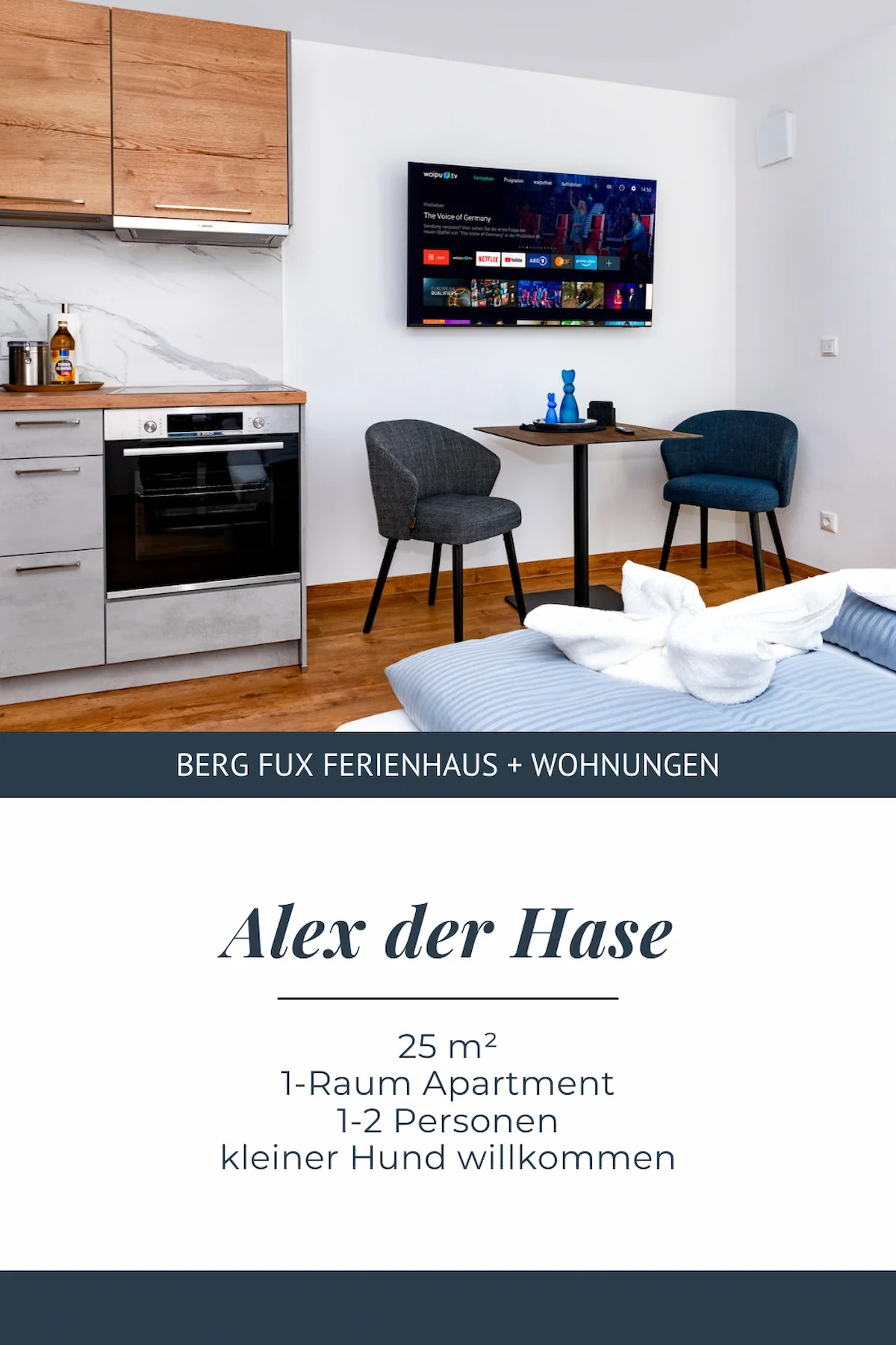 Innenansicht eines kleinen Apartmentzimmers mit Küchenbereich, einem kleinen Esstisch, zwei Stühlen, und einem Fernseher. Text auf dem Bild: "BERG FUX FERIENHAUS + WOHUNGEN. Alex der Hase. 25 m², 1-Raum Apartment, 1-2 Personen, kleiner Hund willkommmen."