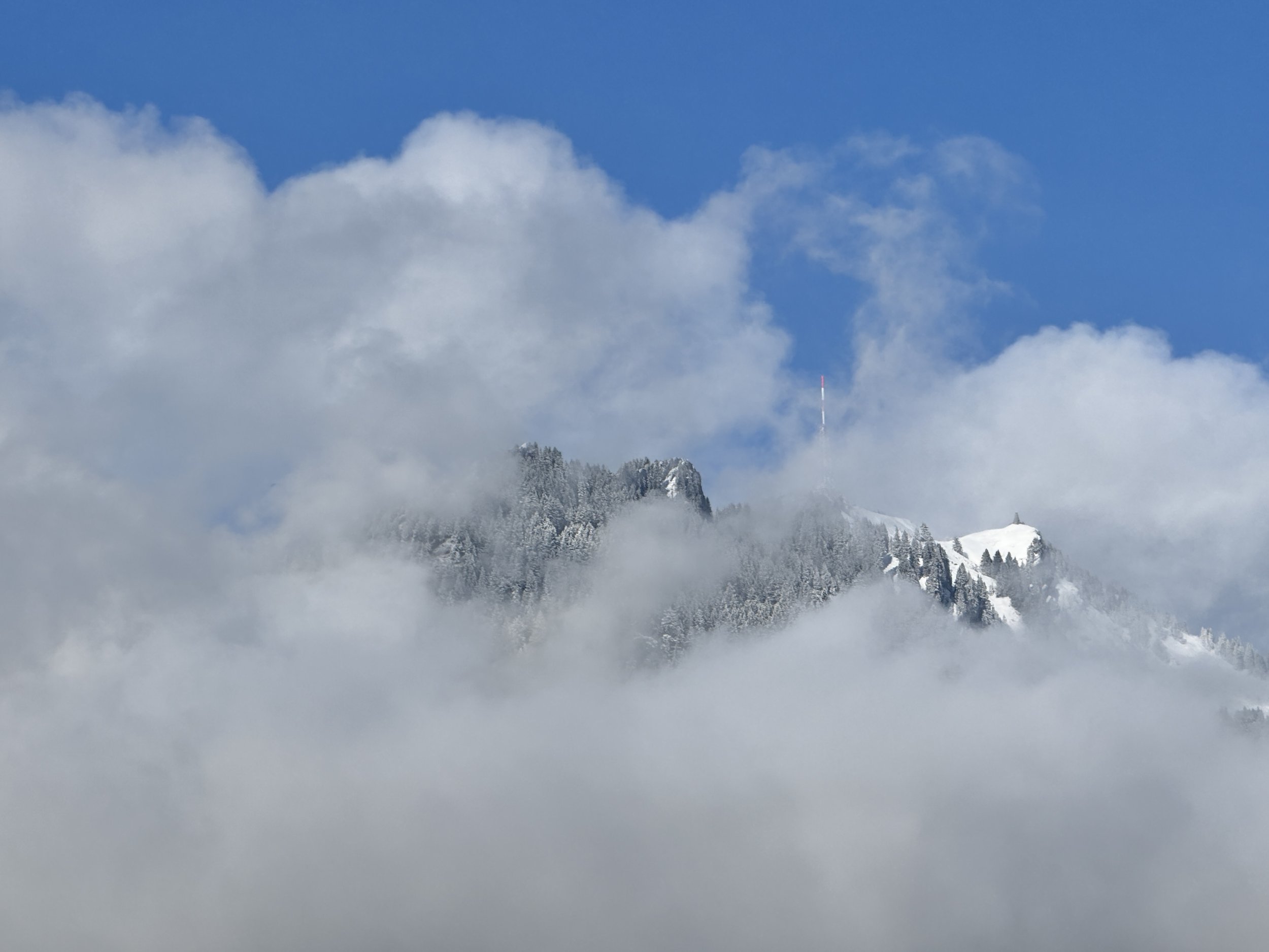 IMG_7429.JPG