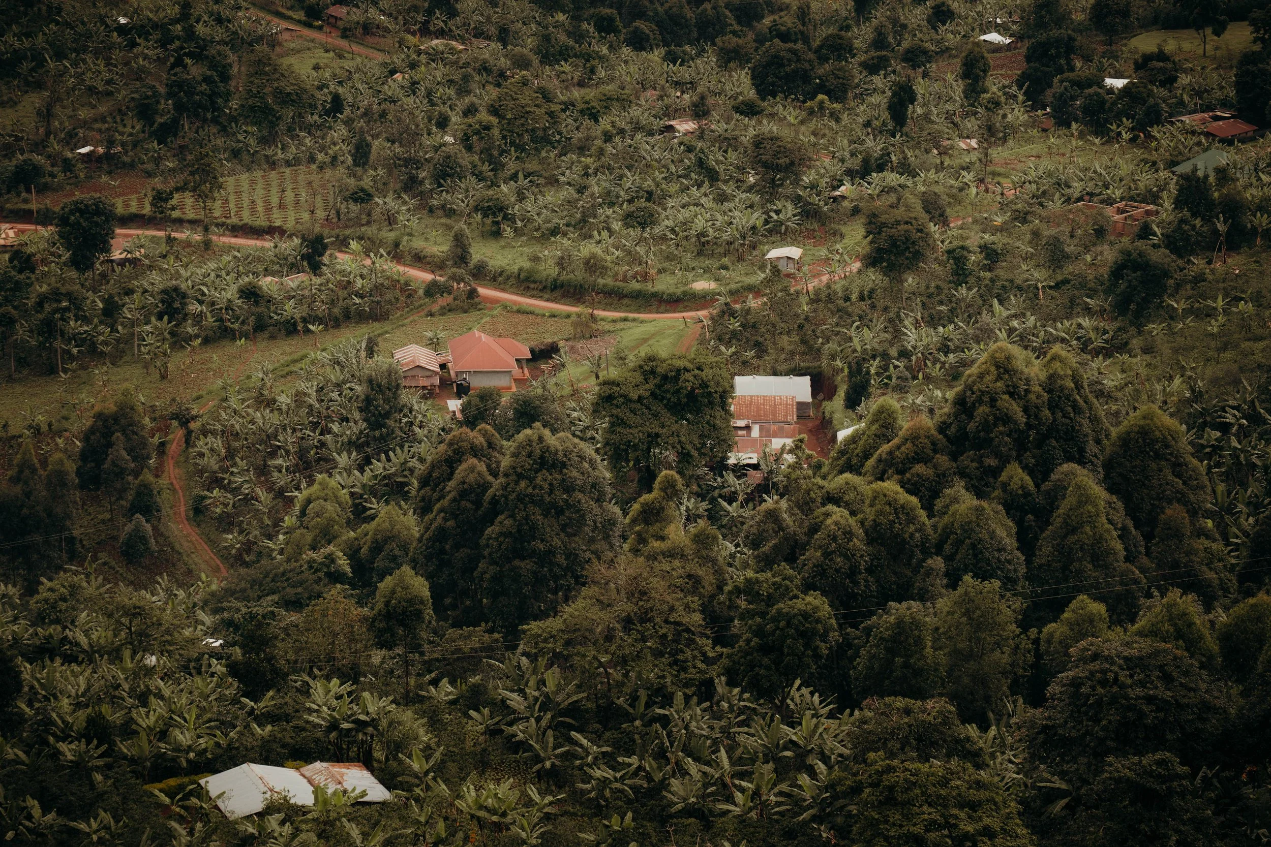 MiriH-Uganda-new2-01077.jpg (Kopie)