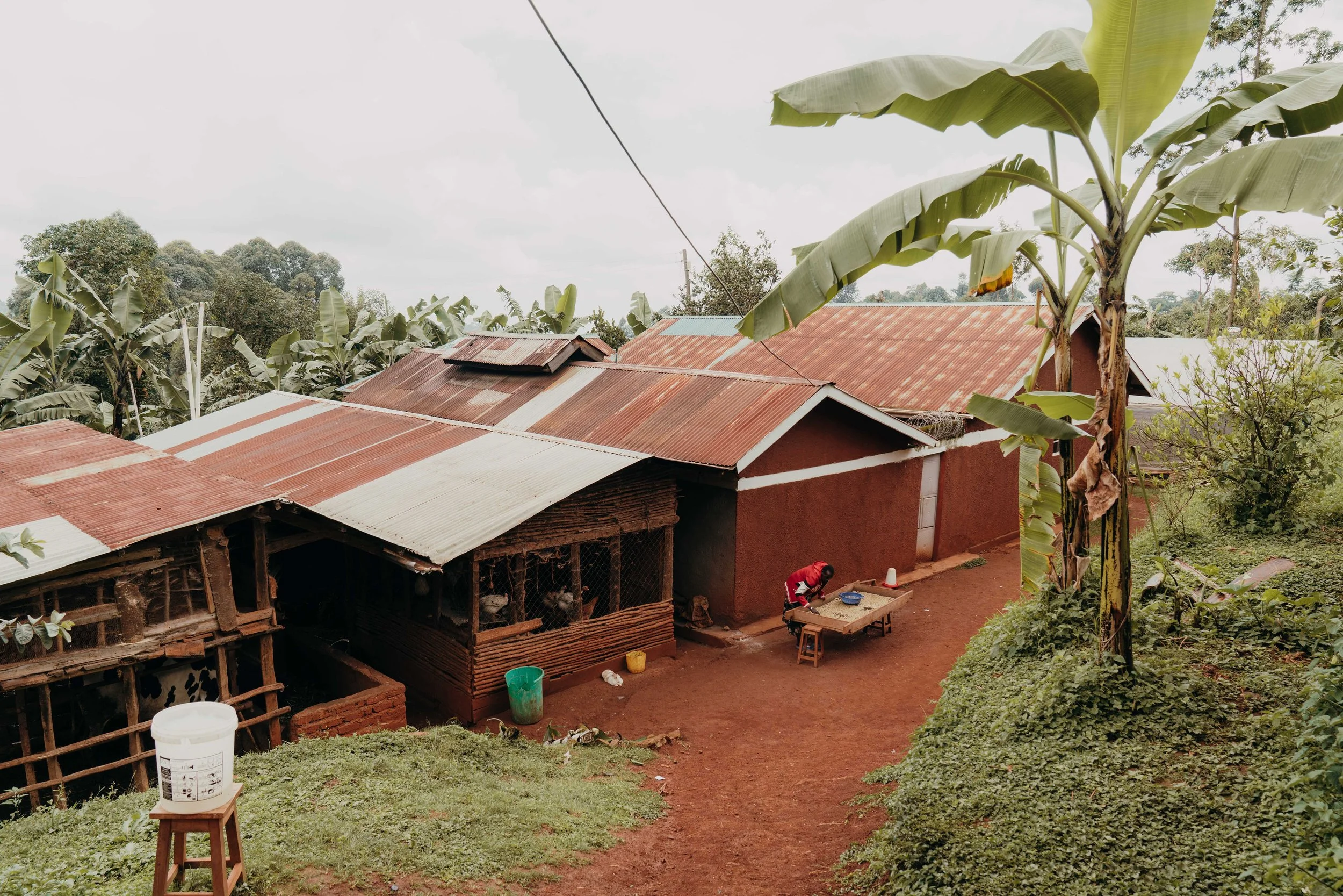 MiriH-Uganda-new2-01005.jpg (Kopie)