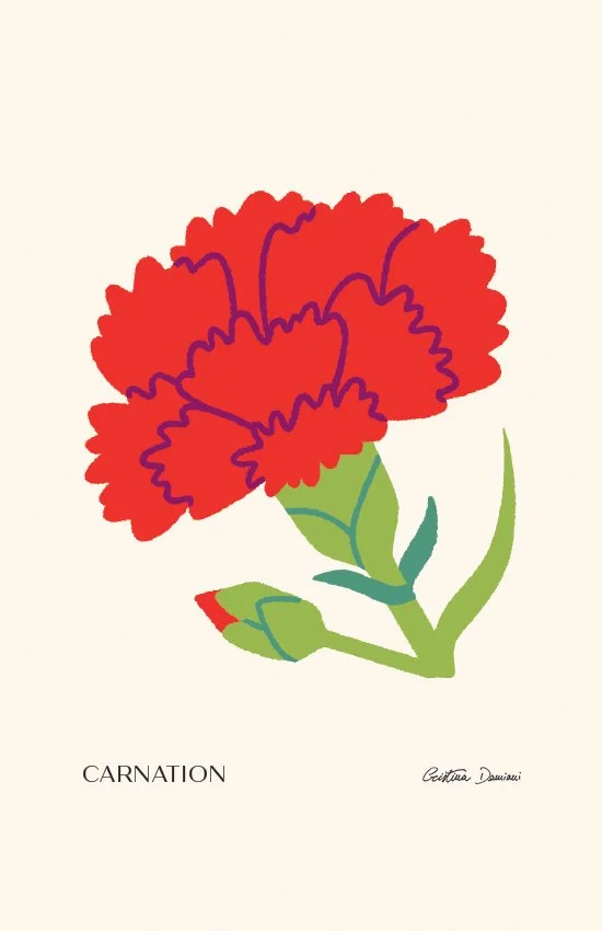 Illustrazione di garofano rosso con foglie verde chiaro su sfondo panna chiaro