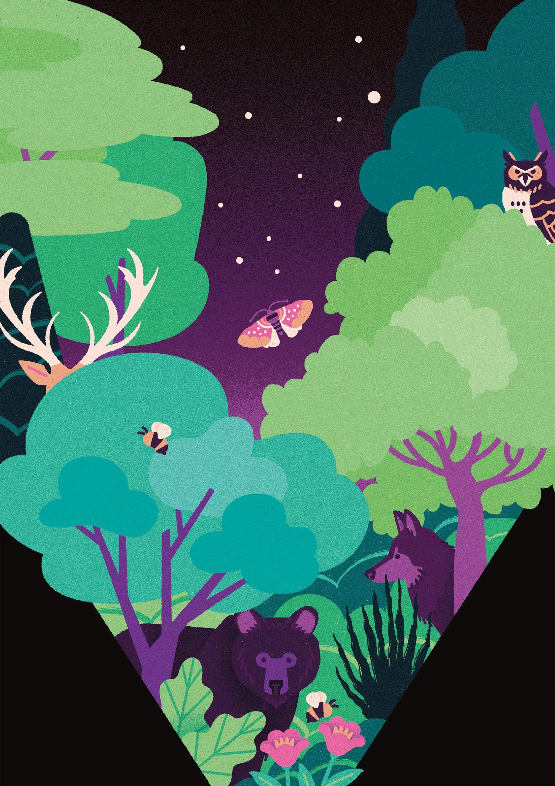 Illustrazione di una foresta notturna con alberi verdi, una falena, un lupo, un orso, un cervo, delle api e un gufo, con un cielo stellato.