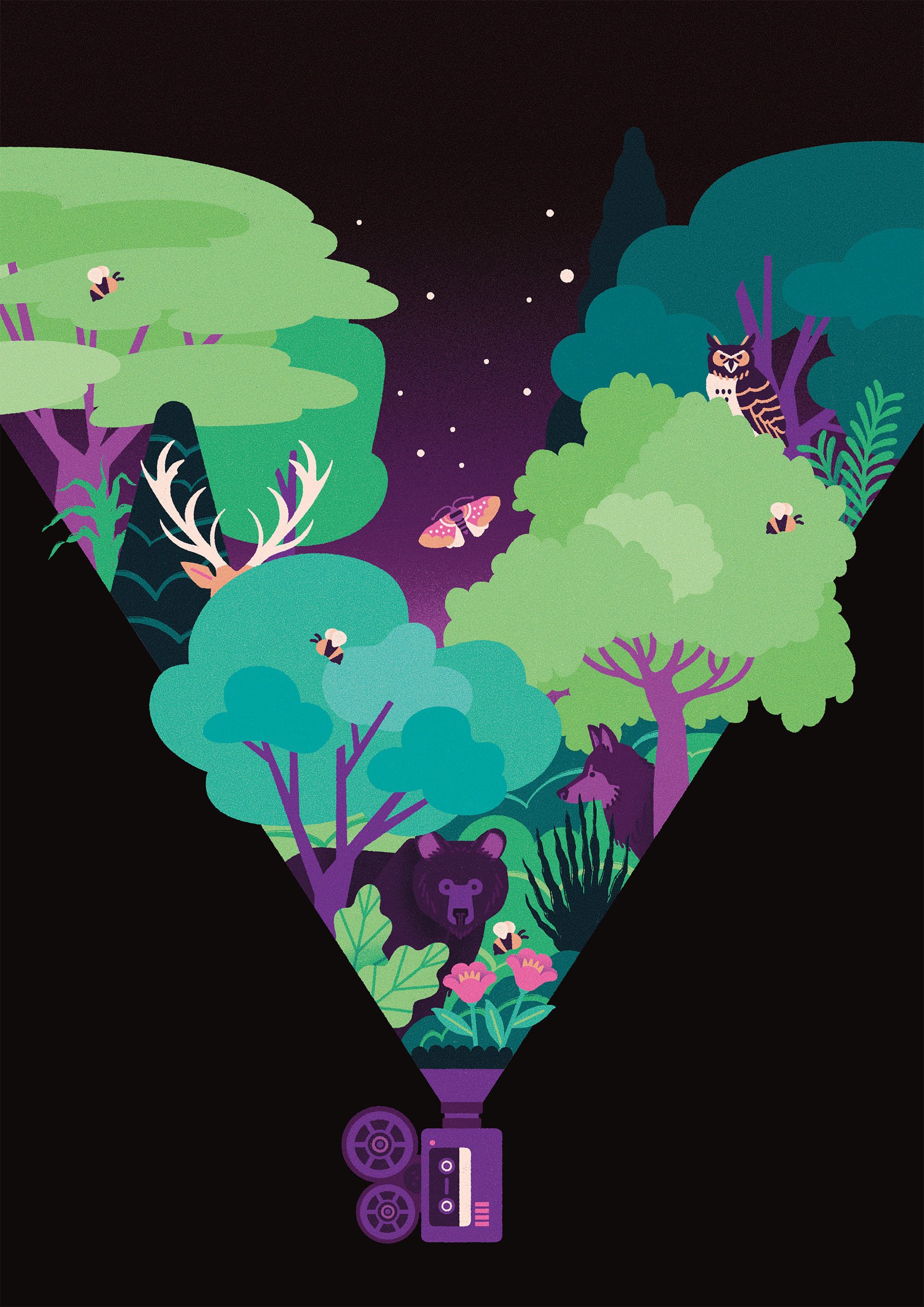 Illustrazione di una cinepresa e una foresta notturna con alberi verdi, una falena, un lupo, un orso, un cervo, delle api e un gufo, con un cielo stellato.