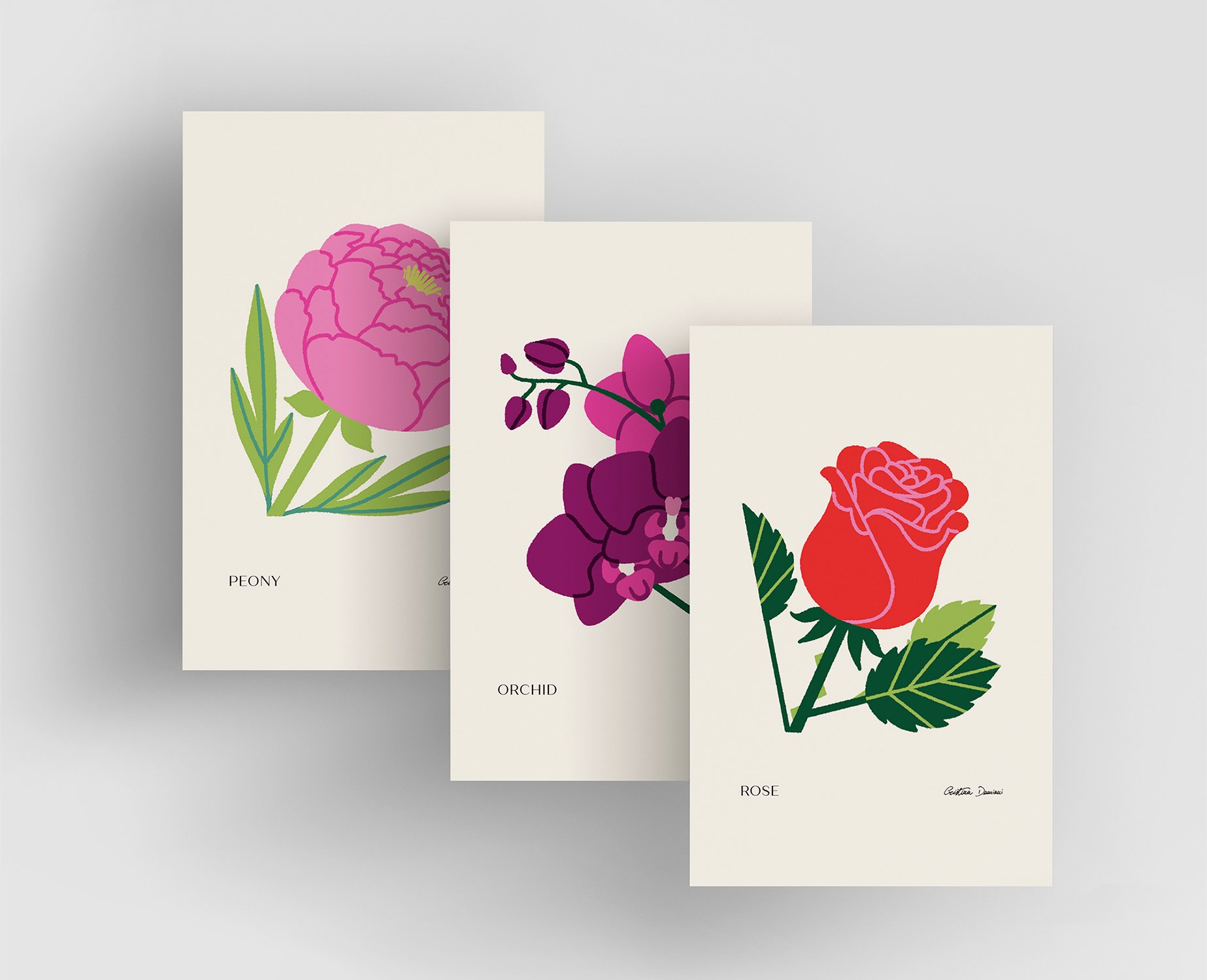 Cartoline di illustrazioni con rosa rossa e foglie verde scuro, orchidea viola e peonia rosa con foglie verde chiaro e sfondo panna chiaro