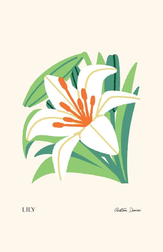 Illustrazione di giglio bianco con foglie verde chiaro su sfondo panna chiaro