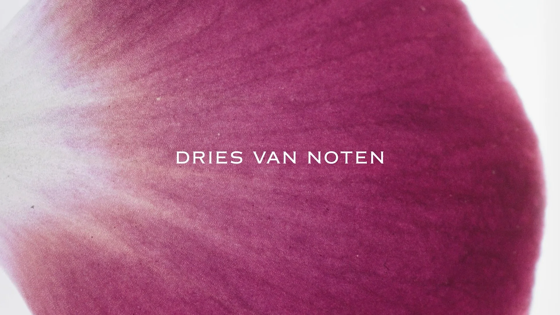 Dries Van Noten