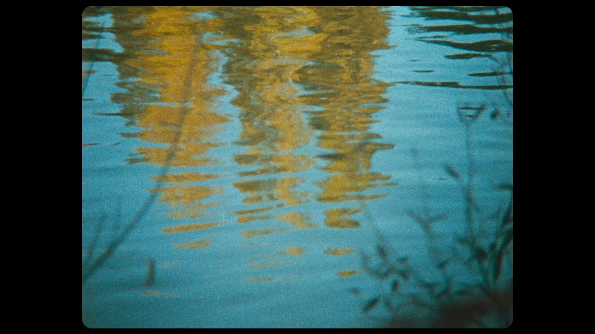 Still 2025-06-13 plouf!_1.1.213.jpg