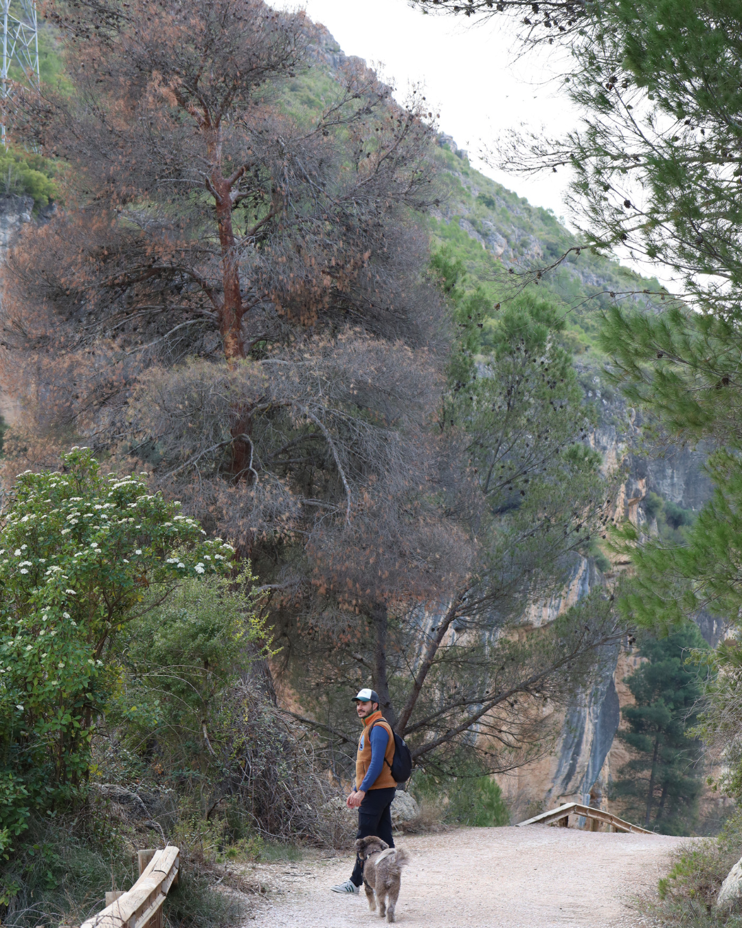 Hombre en un camino en la montaña con su perro posando