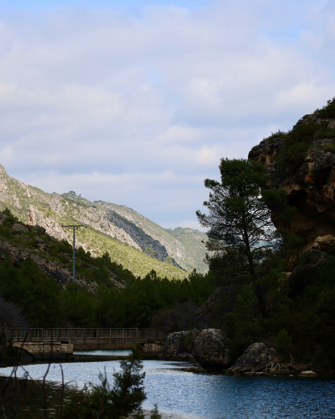 Paisaje de montaña con árboles, un puente y un río