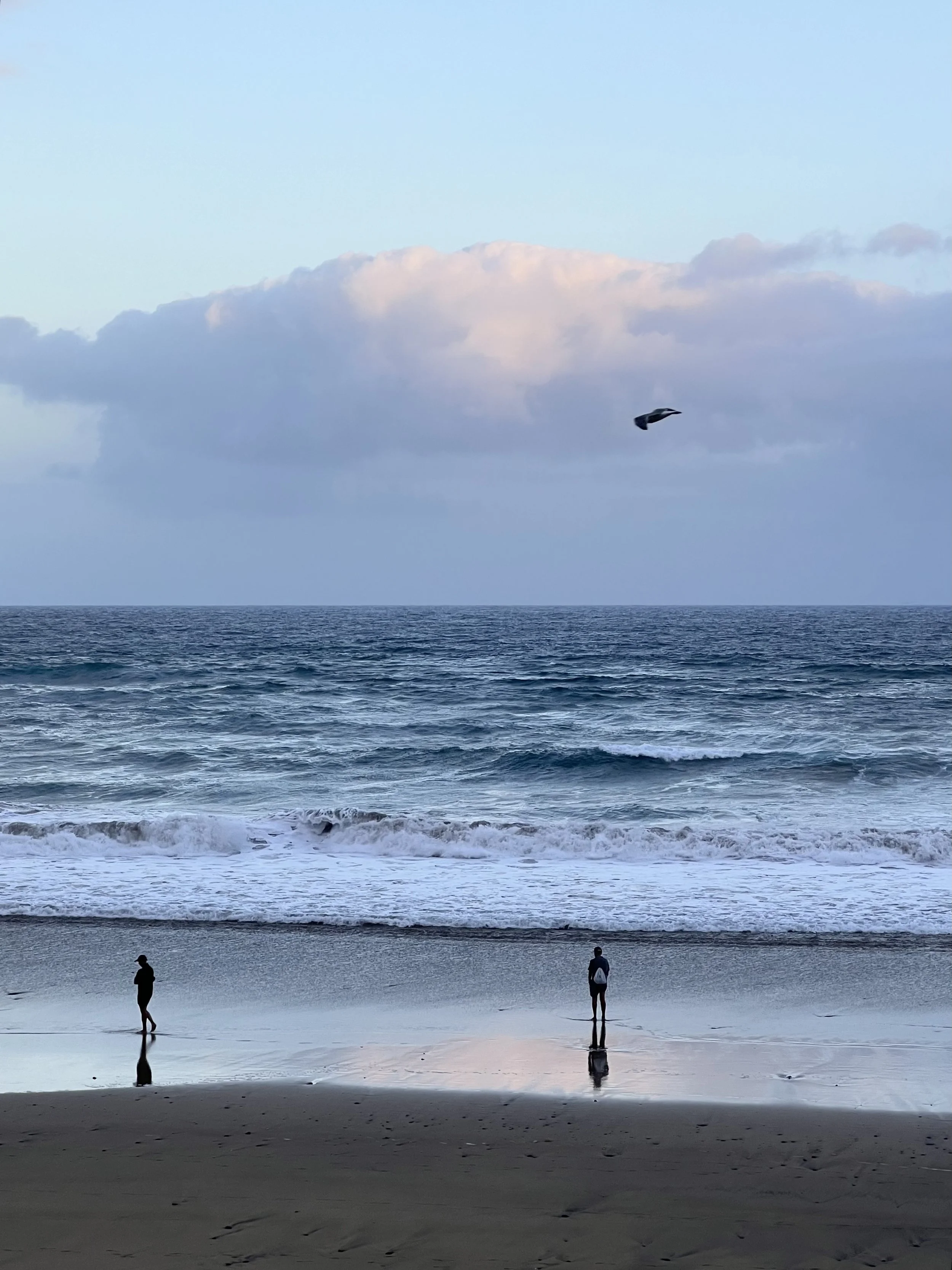 Dos personas caminando en la orilla de la playa al amanecer
