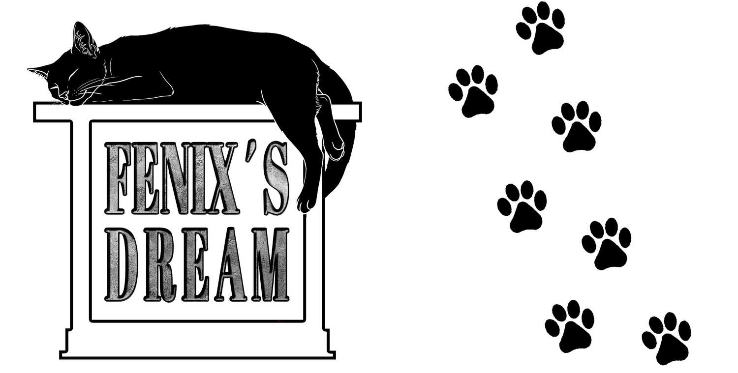 FENIX´S DREAM