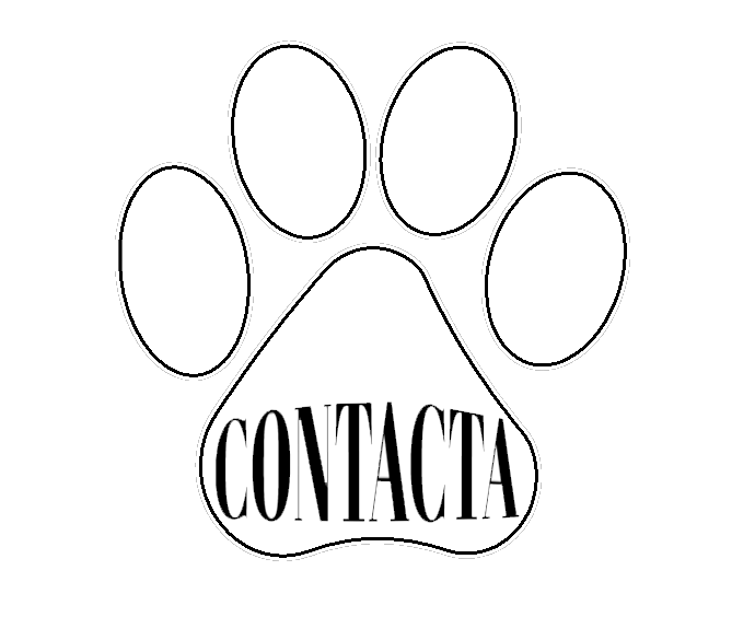 Huella de pata con la palabra 'Contacta' en su interior.
