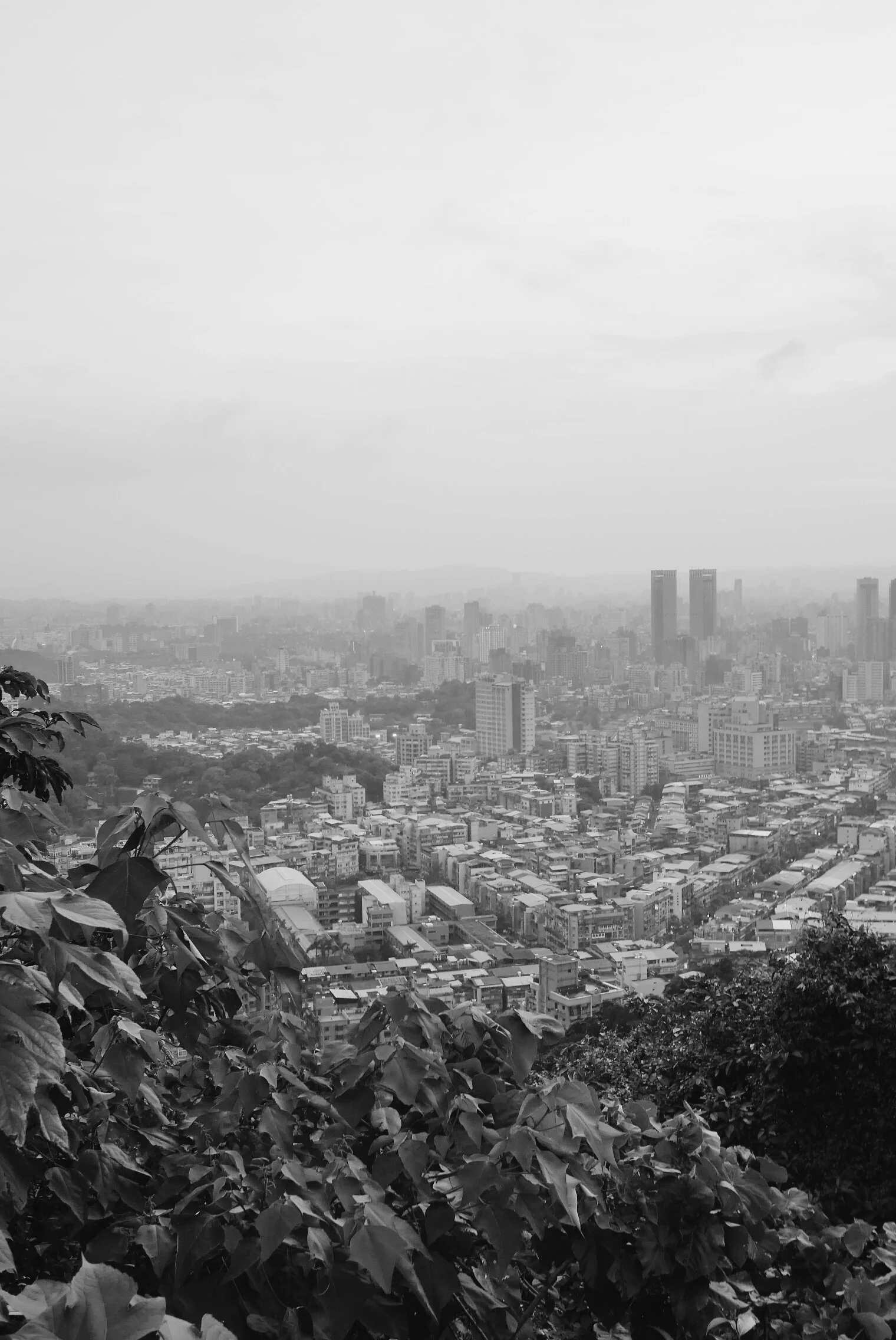 taipei-cityscape-xiv.jpg