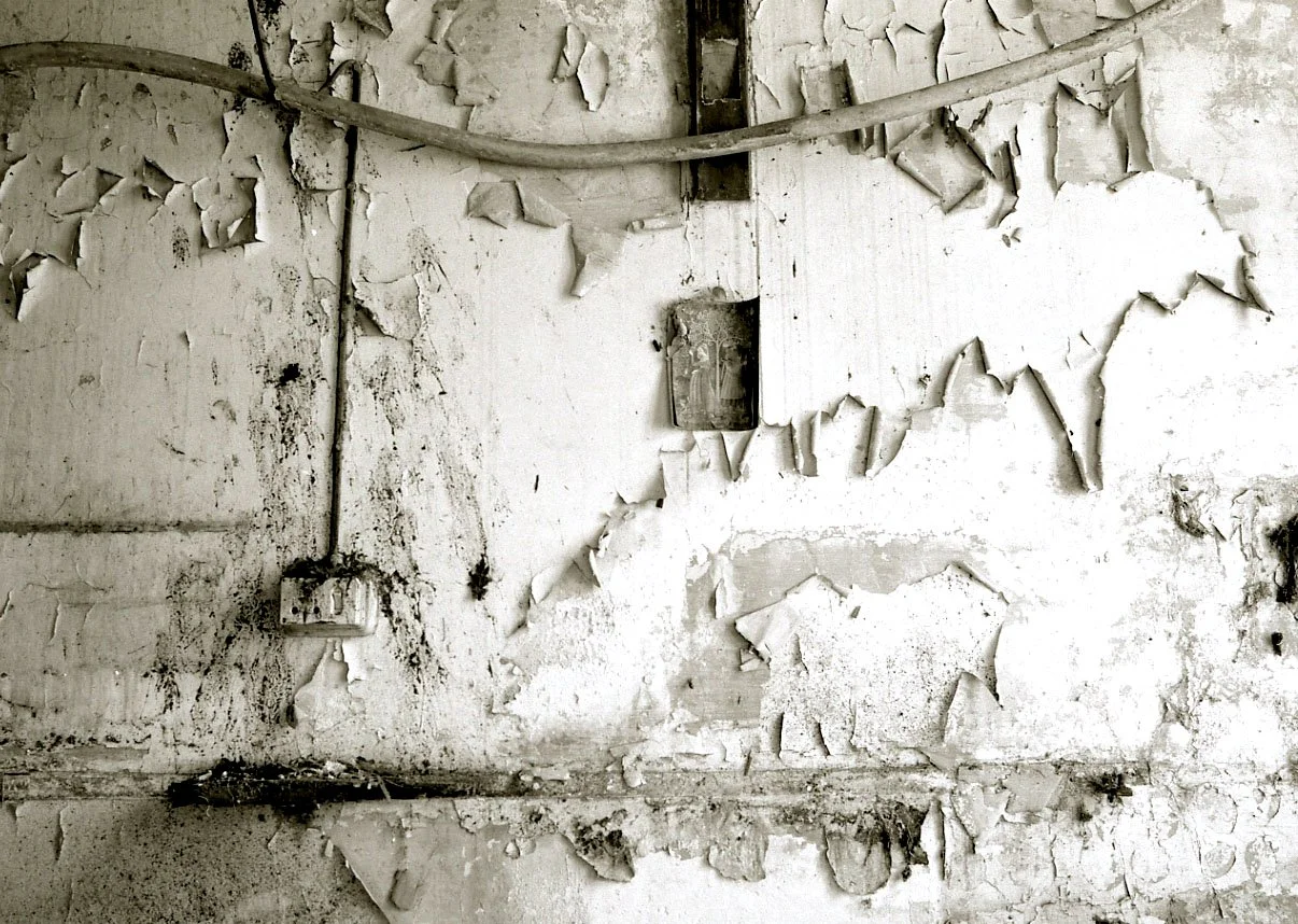 TRADITIONAL FINE ART | HAND PRINTED