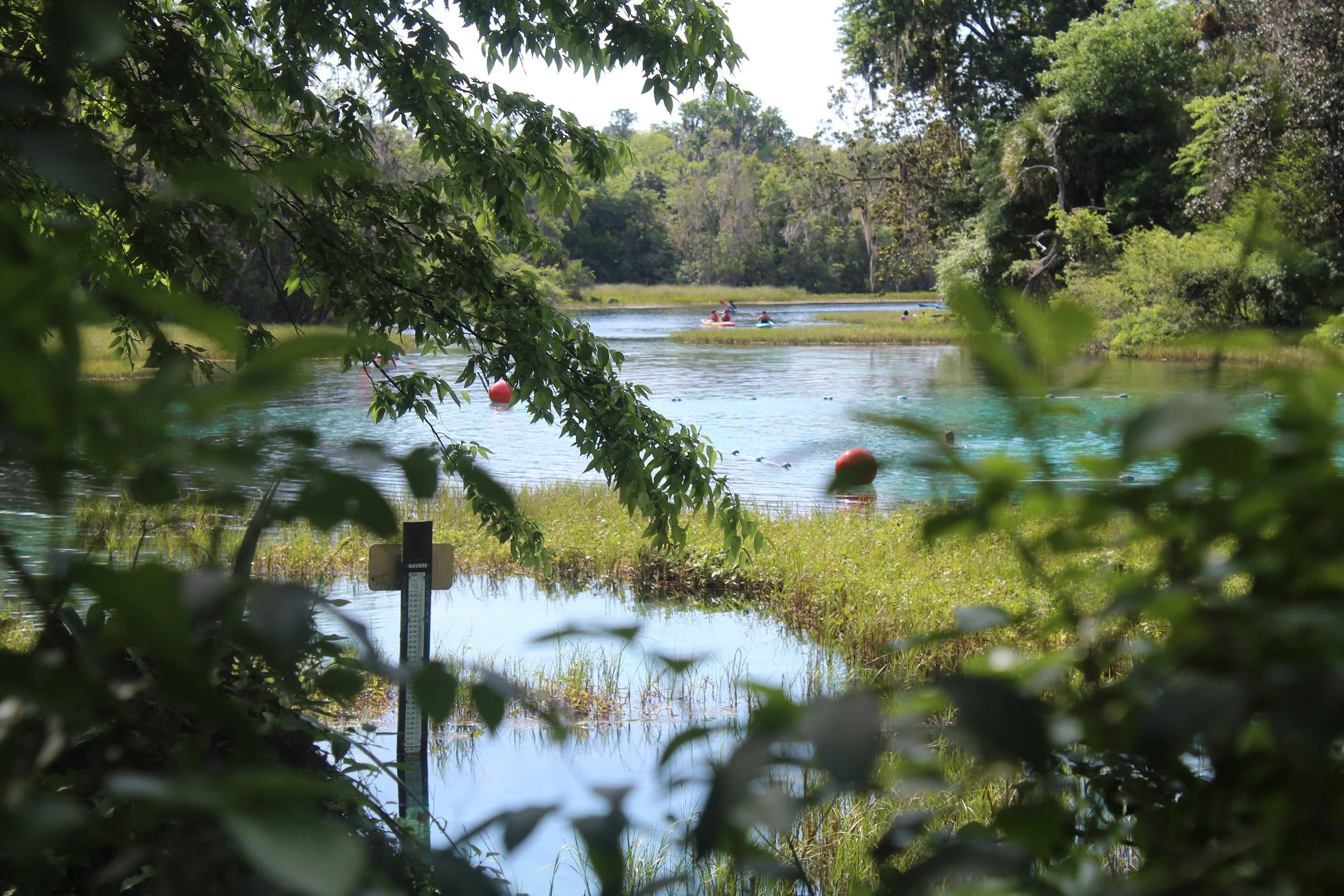 A serene river scene surrounded by lush green trees and foliage, with a few people in the distance paddling boats, and red buoys floating on the water.