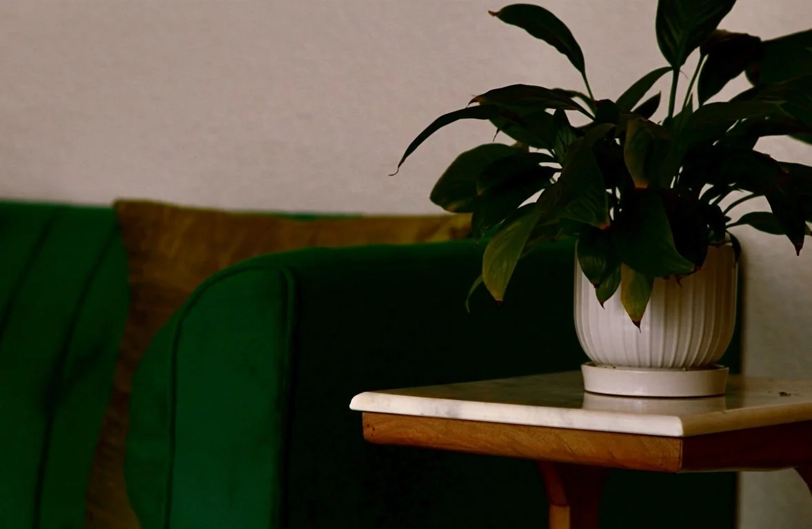 A potted plant with green leaves on a table in a room with green and brown furniture.