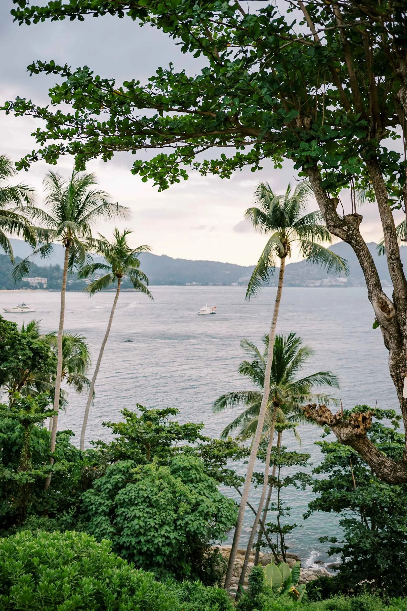 Tropical ocean view with palm trees at Amanpuri in Phuket, Thailand
