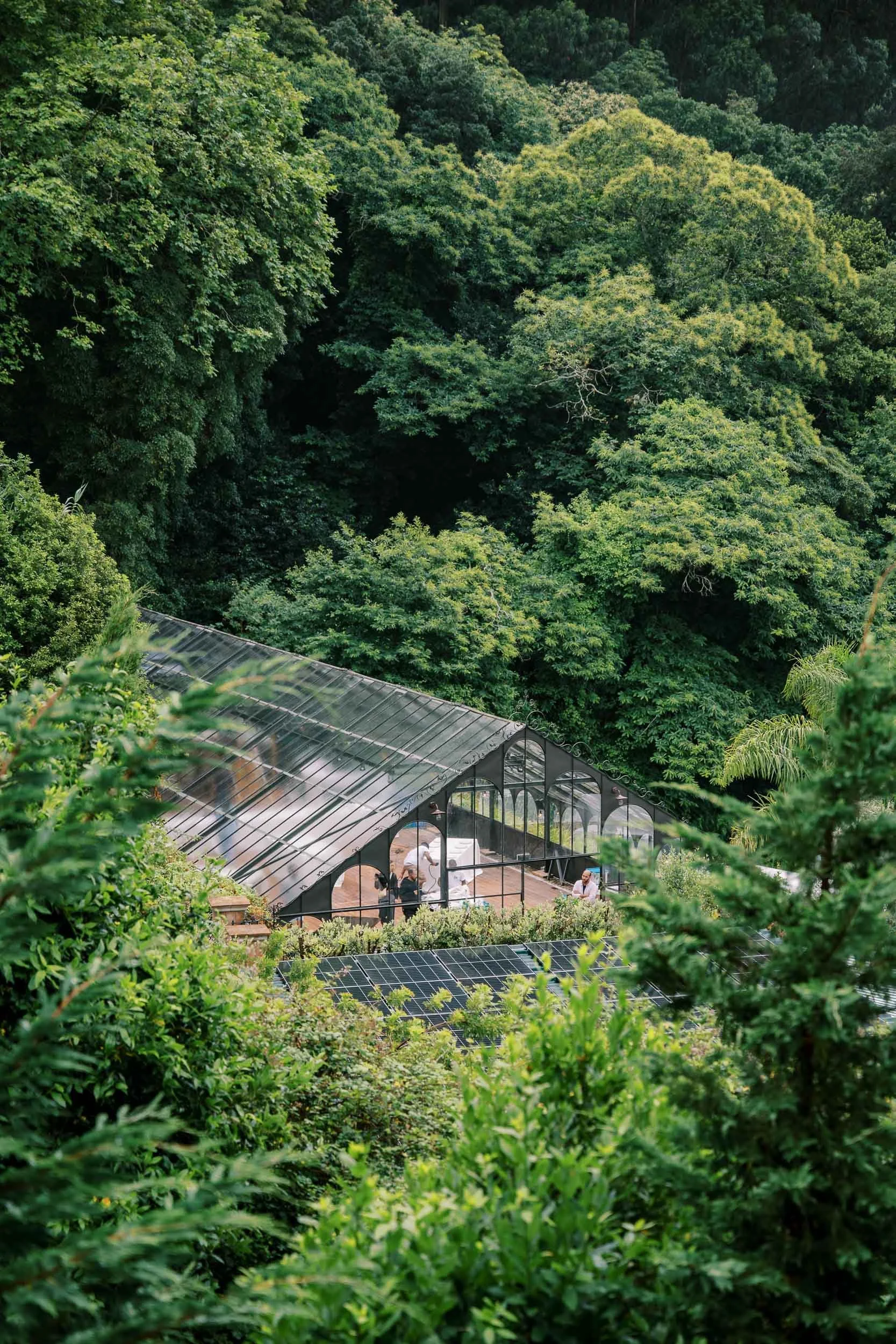 The glasshouse surrounded by nature at Quinta da Bela Vista in Sintra, Portugal