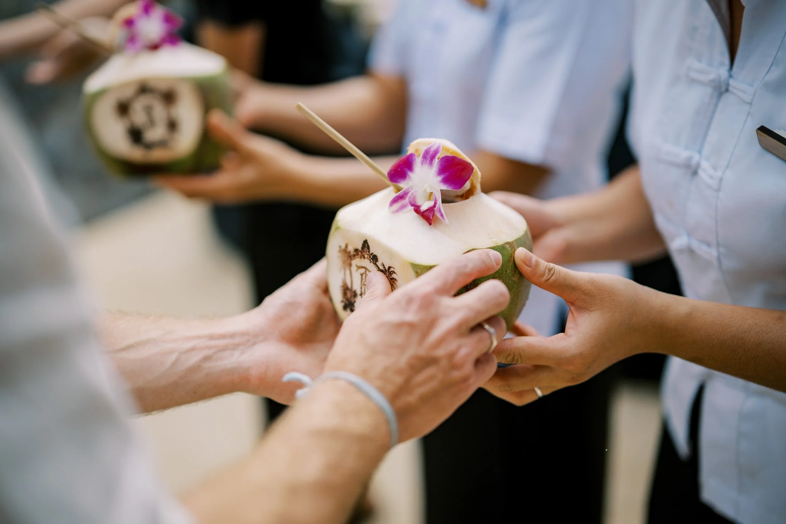 Detail of fresh coconuts served to guests during the welcome celebration at Amanpuri in Phuket, Thailand