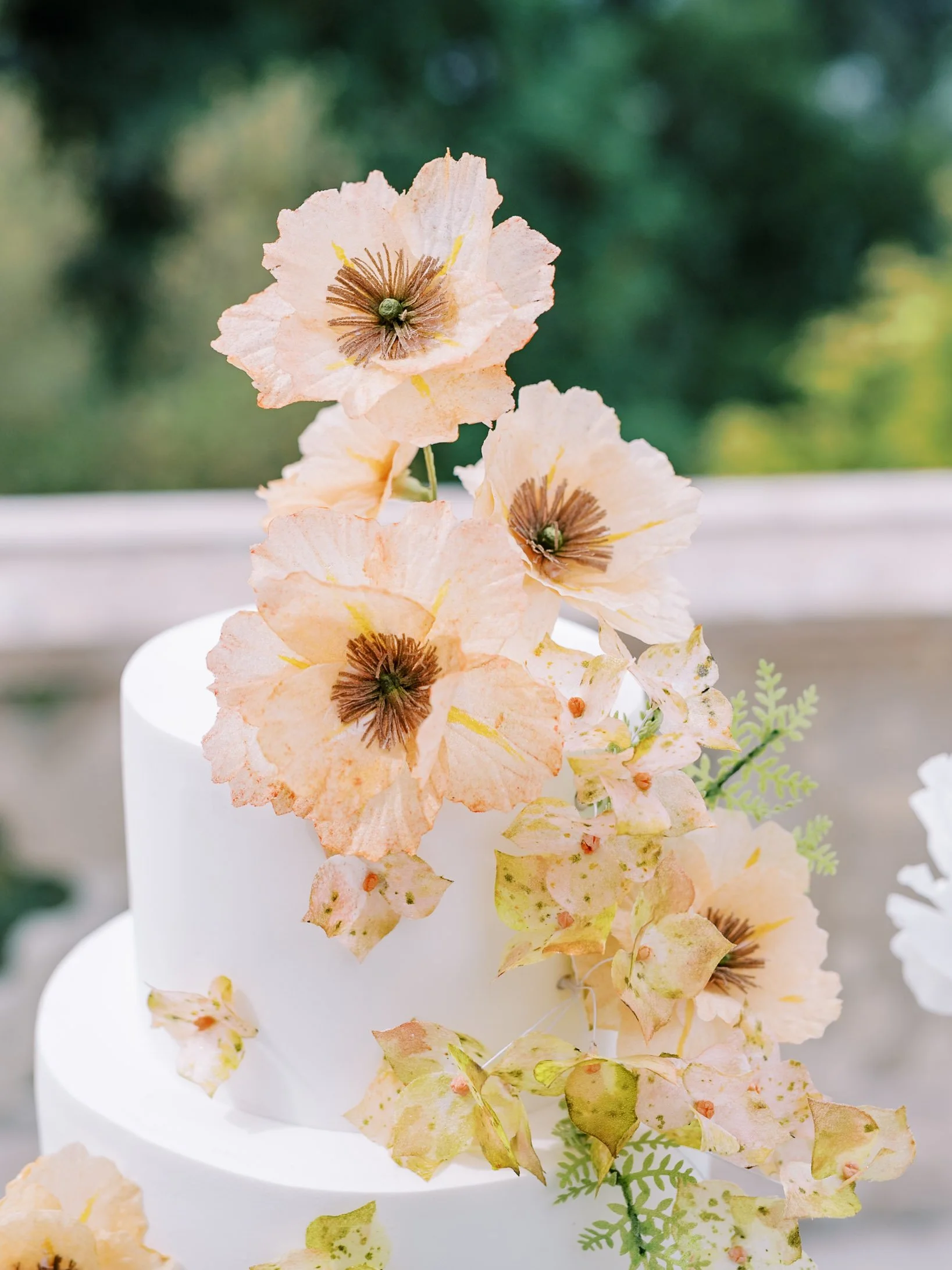 A white tiered wedding cake decorated with large, delicate peach-colored flowers with dark centers and light green leaves.