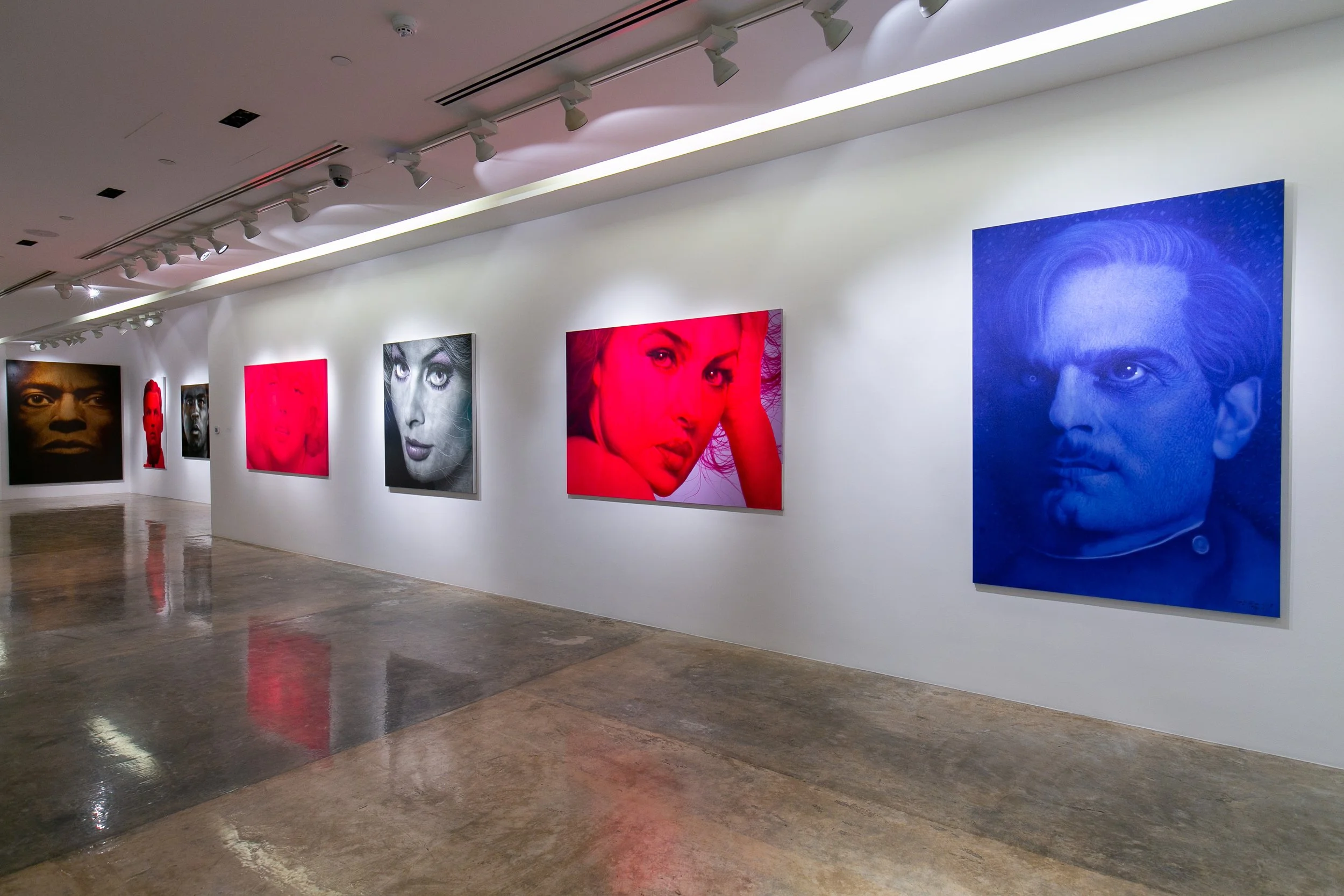 Gallery wall with various colorful portrait paintings of different people, illuminated by track lighting.