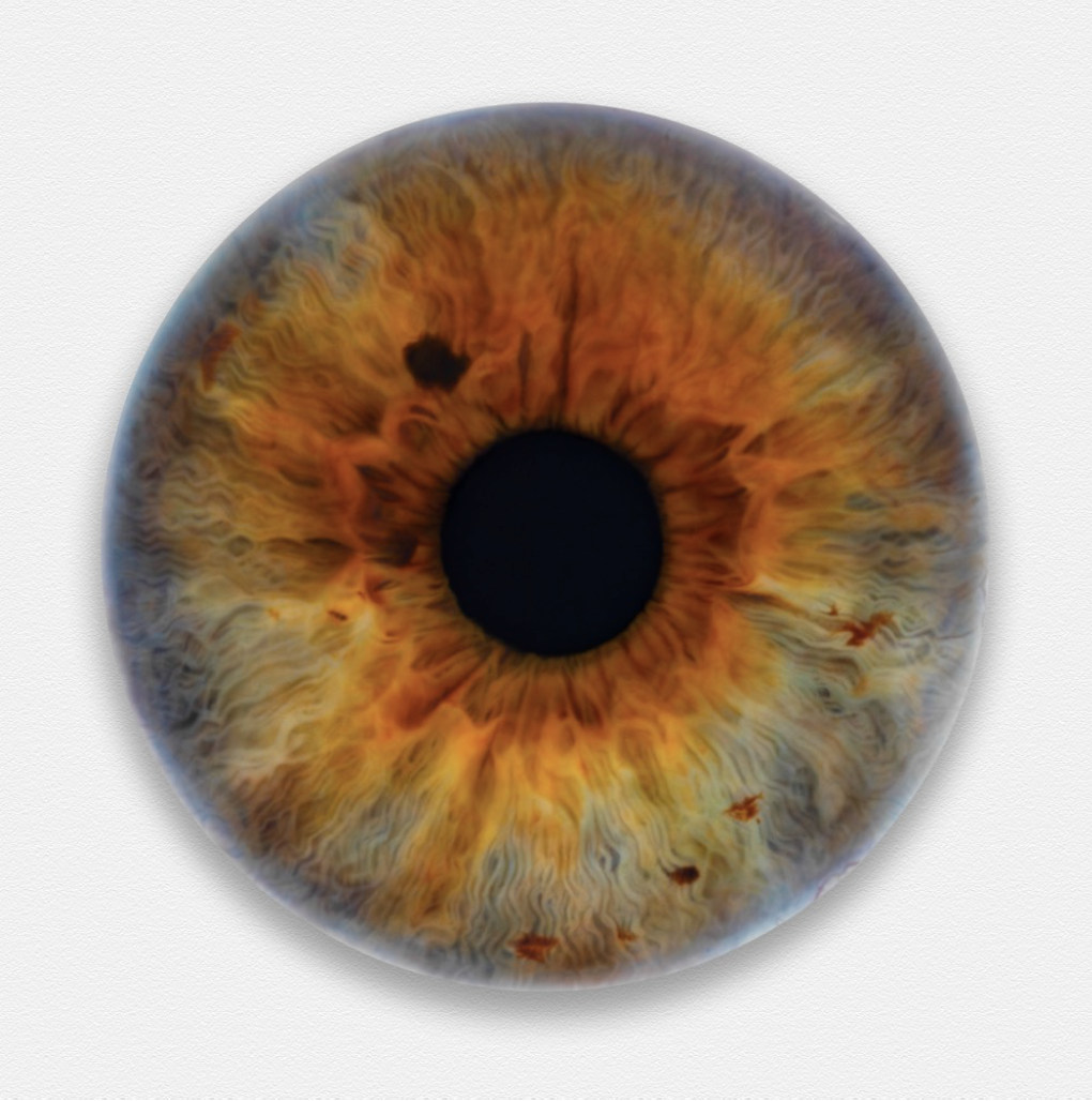 marc-quinn-exhibition-installation-view-qatar-core-art-strategies-makouk