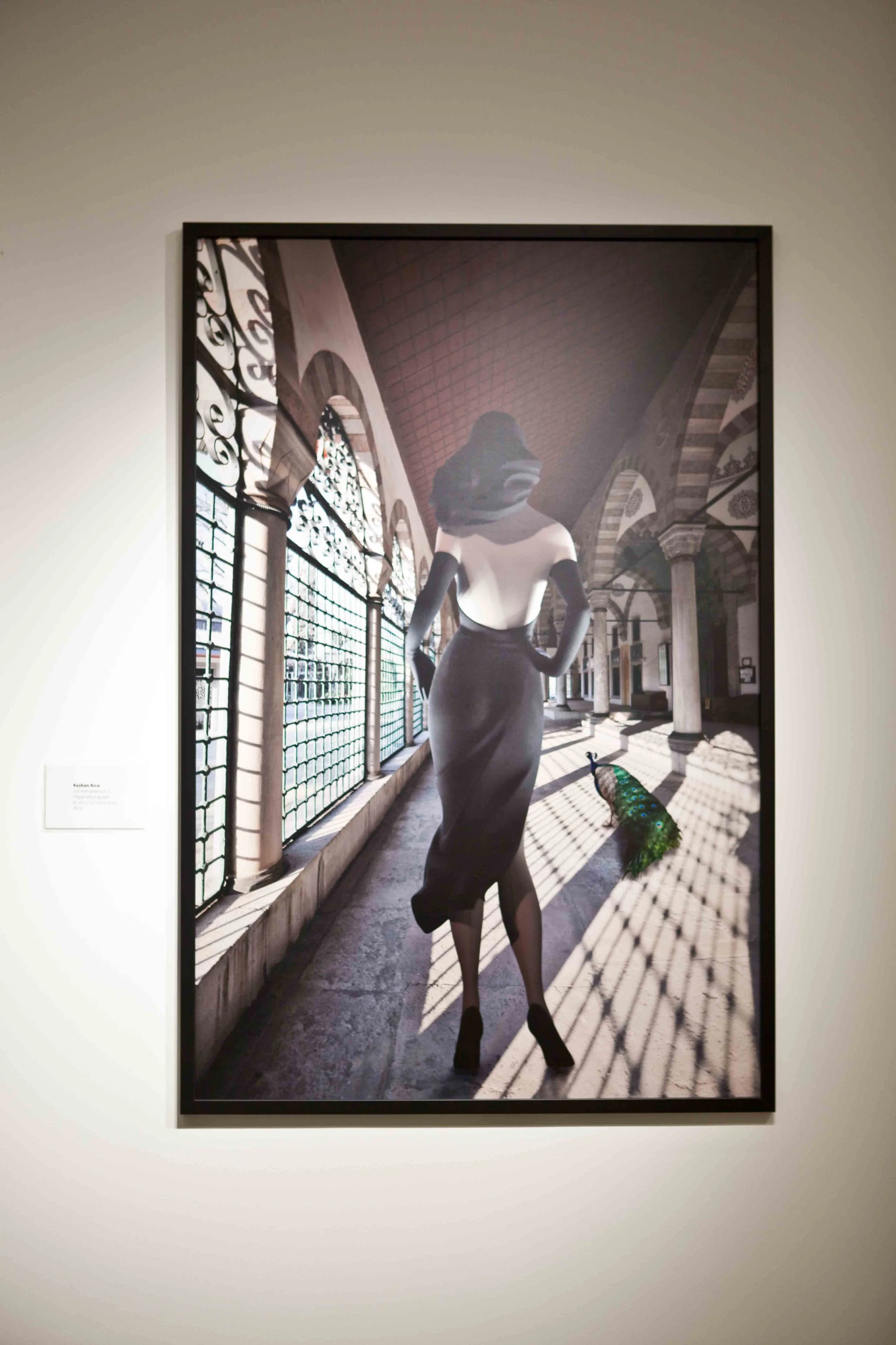 An art piece featuring a woman in a long dress walking with a peacock in an elegant indoor setting with arches and sunlight streaming through large windows.
