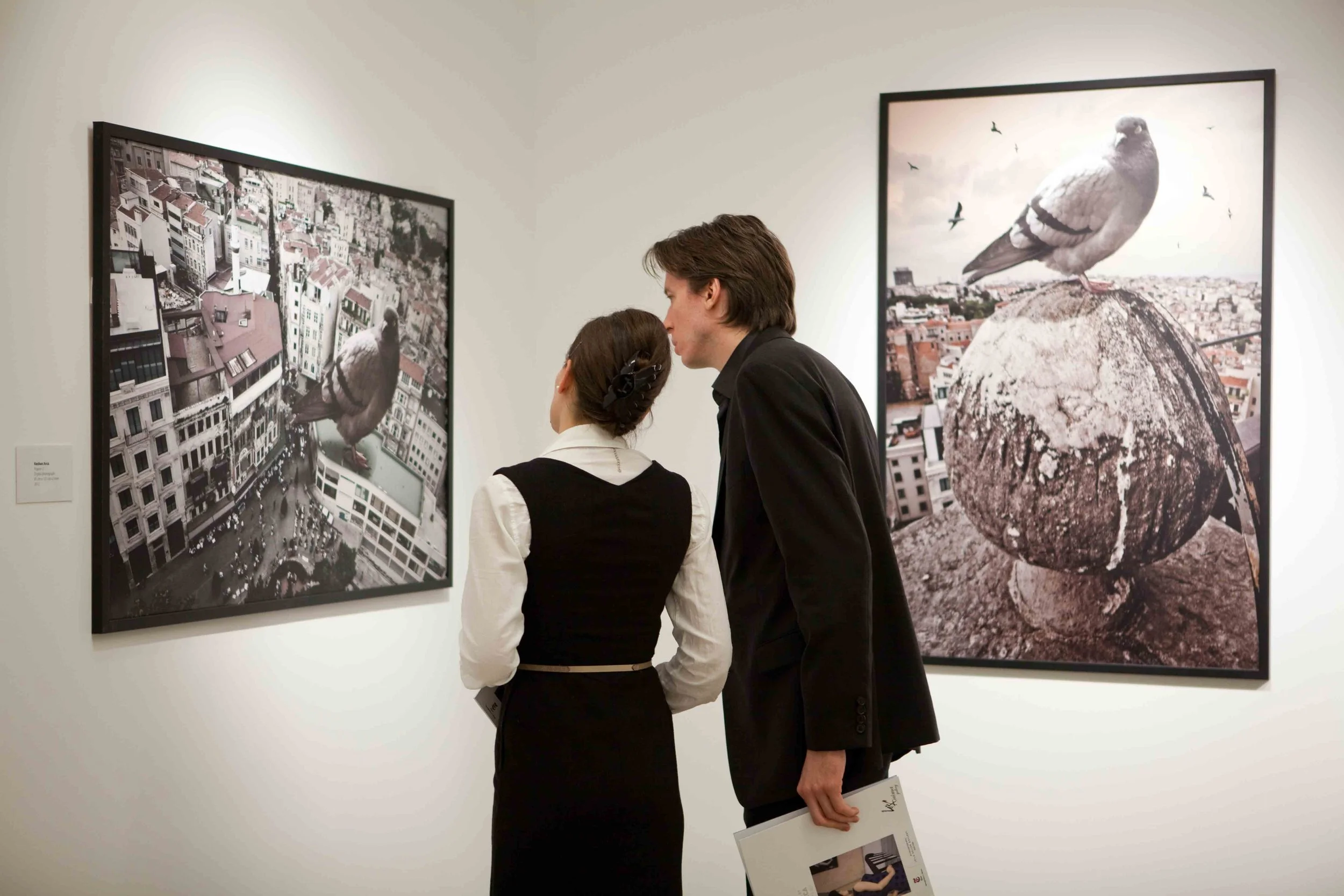 Two people in formal attire observing large framed photo artwork in an art gallery, showing a pigeon on a rooftop with cityscape background.