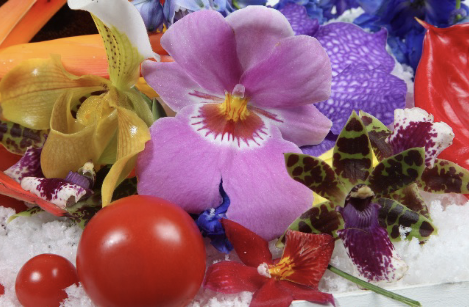 marc-quinn-solo-exhibition-qatar-mohamad-makouk-core-art-strategies