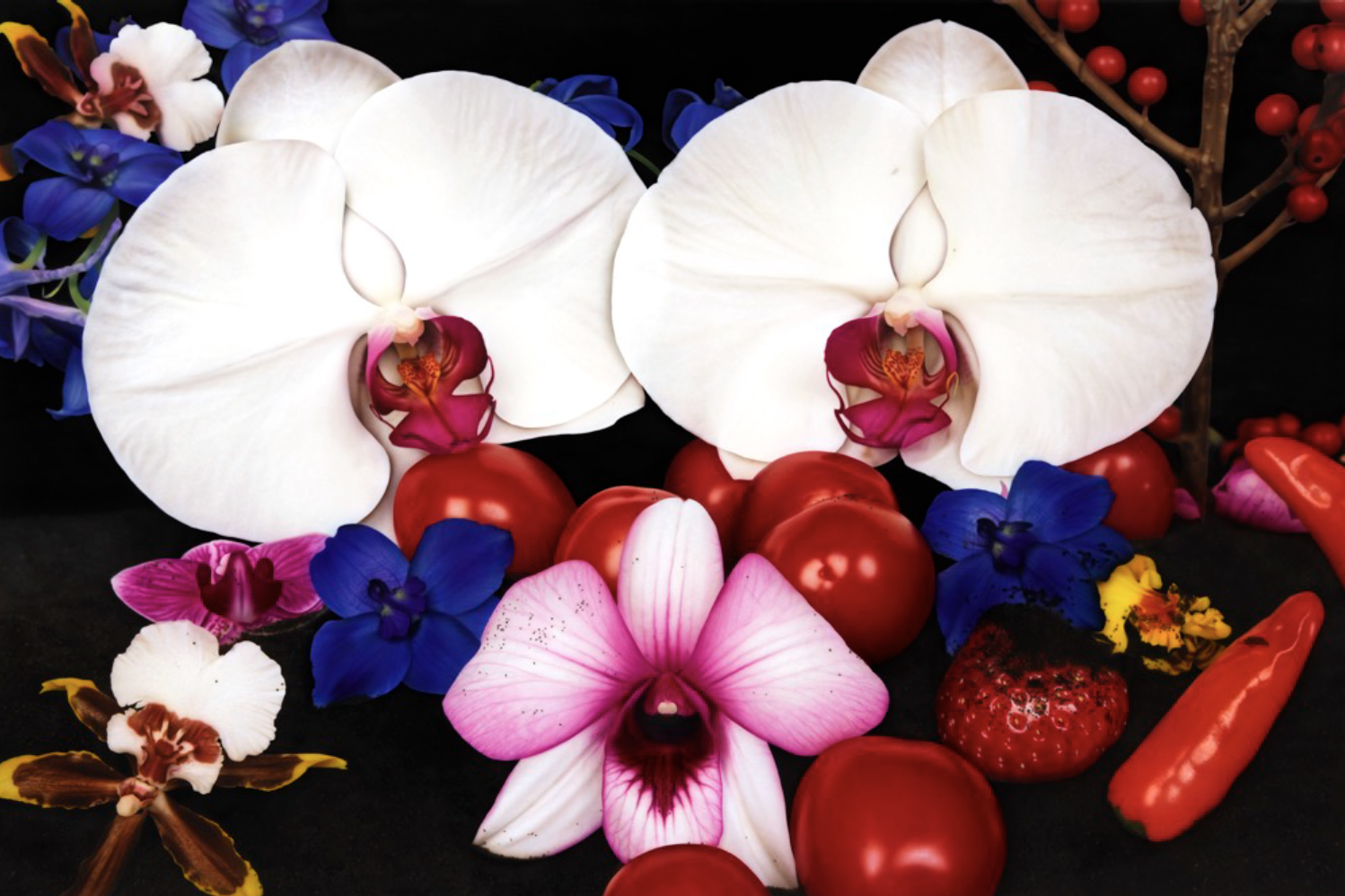 marc-quinn-exhibition-qatar-curated-by-mohamad-makouk-core-art-strategies